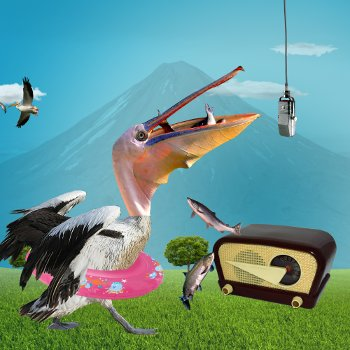 Imagen de Pelícano: el pájaro sacrificado