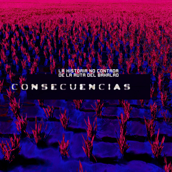 Imagen de E10 - Consecuencias