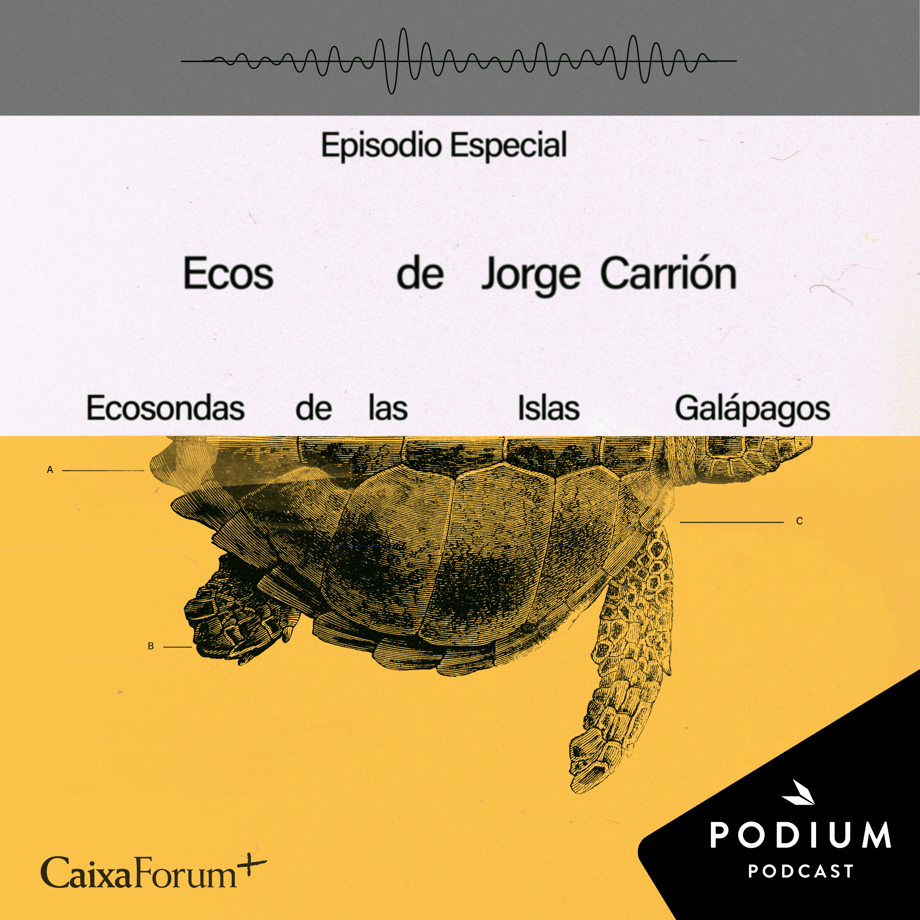 Imagen de Episodio especial - Ecosondas de las Islas Galápagos