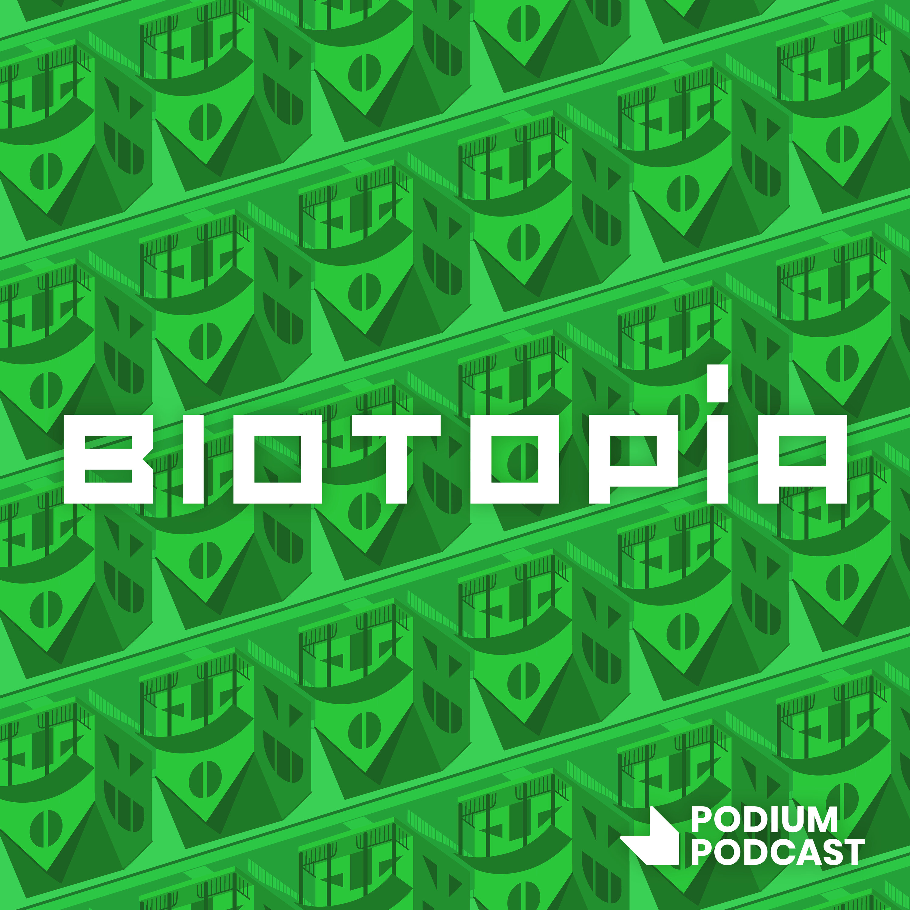 T03E07 - Las moléculas