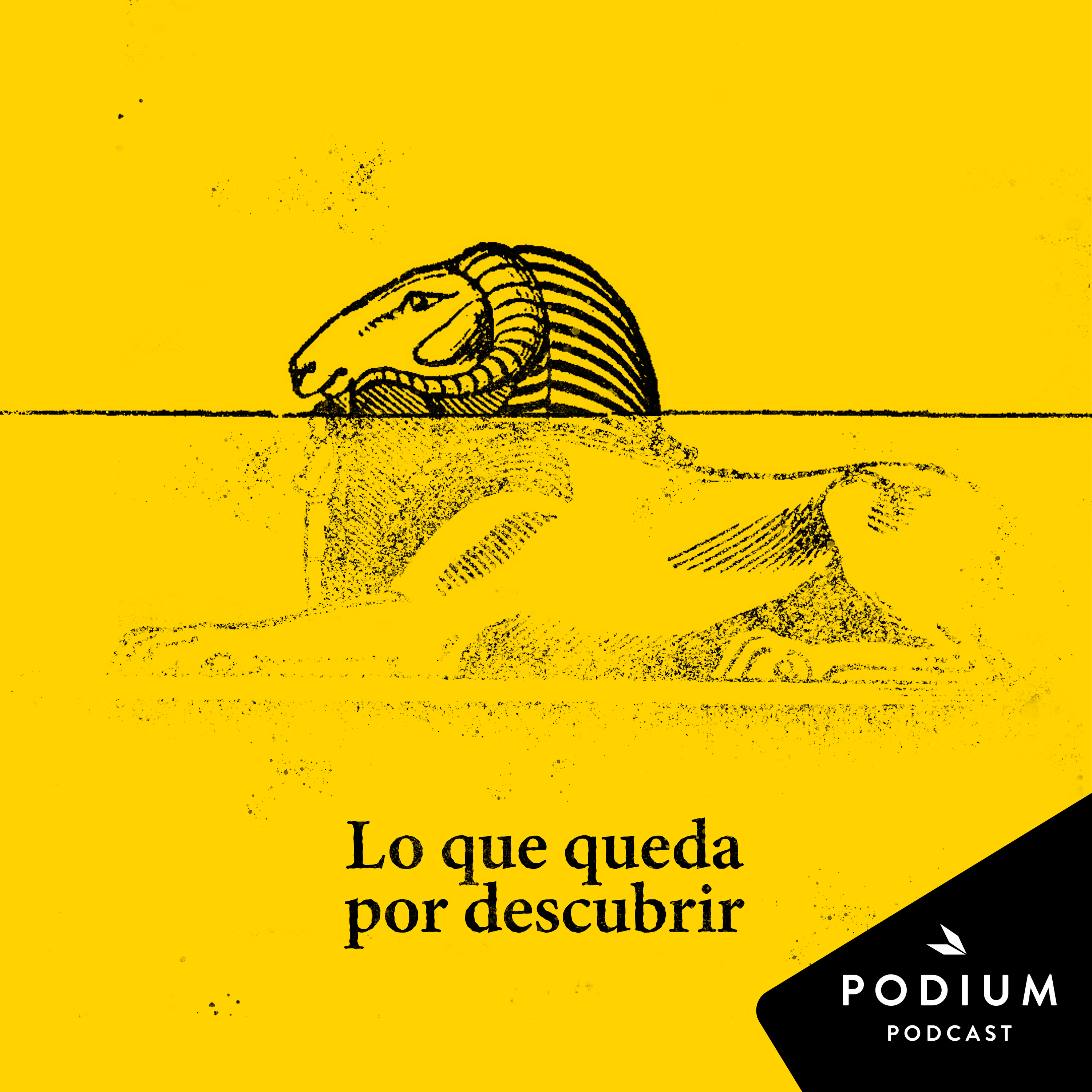 Imagen de Lo que queda por descubrir