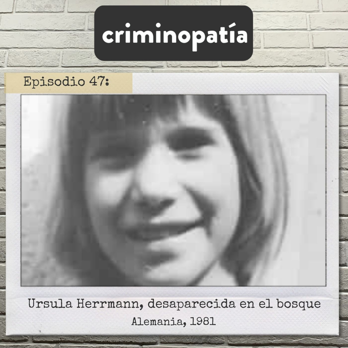 47. Ursula Herrmann, desaparecida en el bosque (Alemania, 1981)