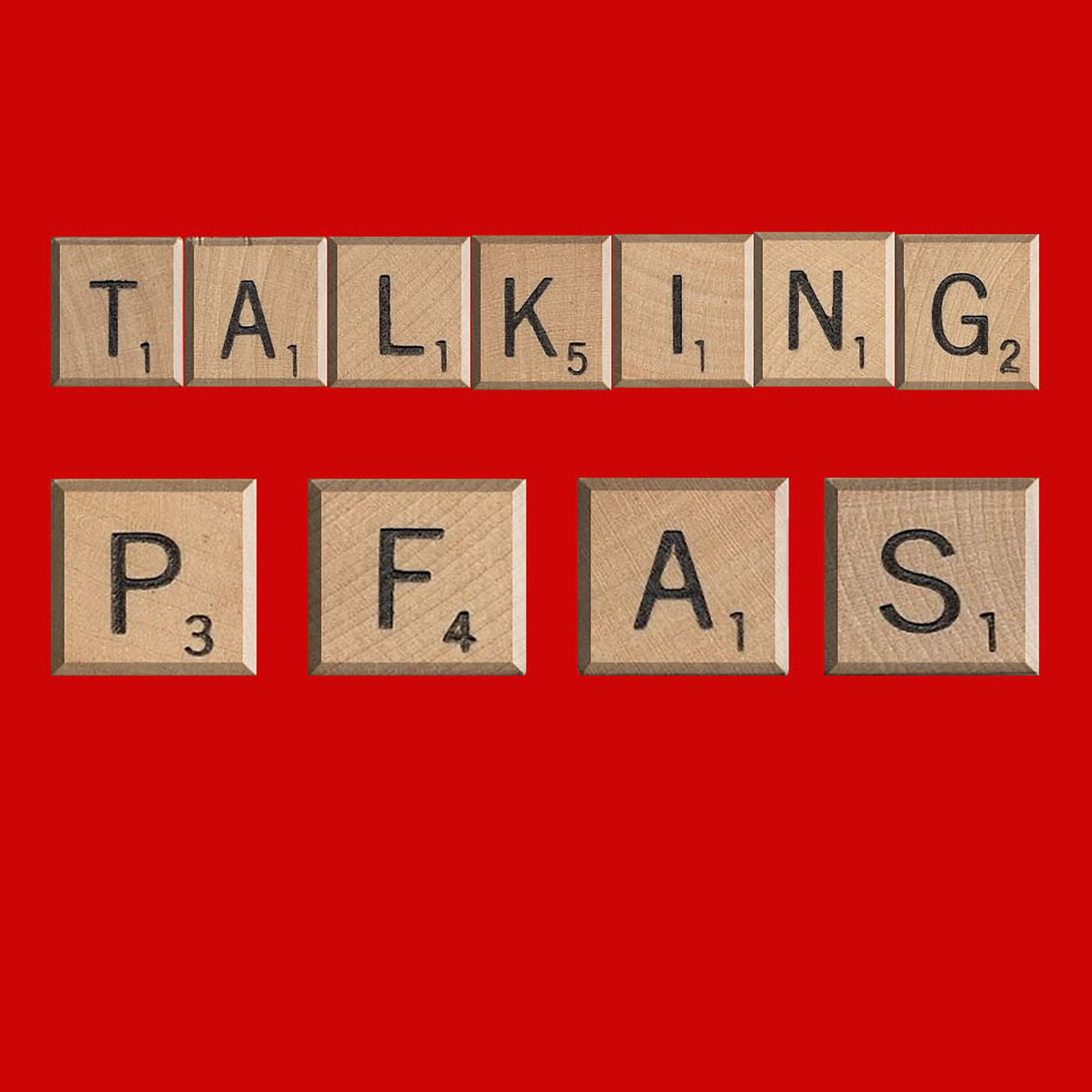 Ep 30 (PFAS in US) Dr Katie Pelch Fort Worth Texas discusses the PFAS Tox Database episode artwork