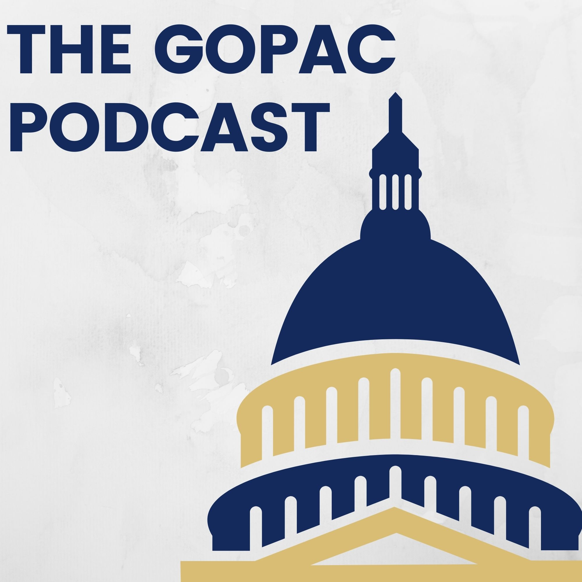 Pollster Adam Geller dives into the details of a GOPAC sanctioned national survey of Republican voters and President Donald Trump