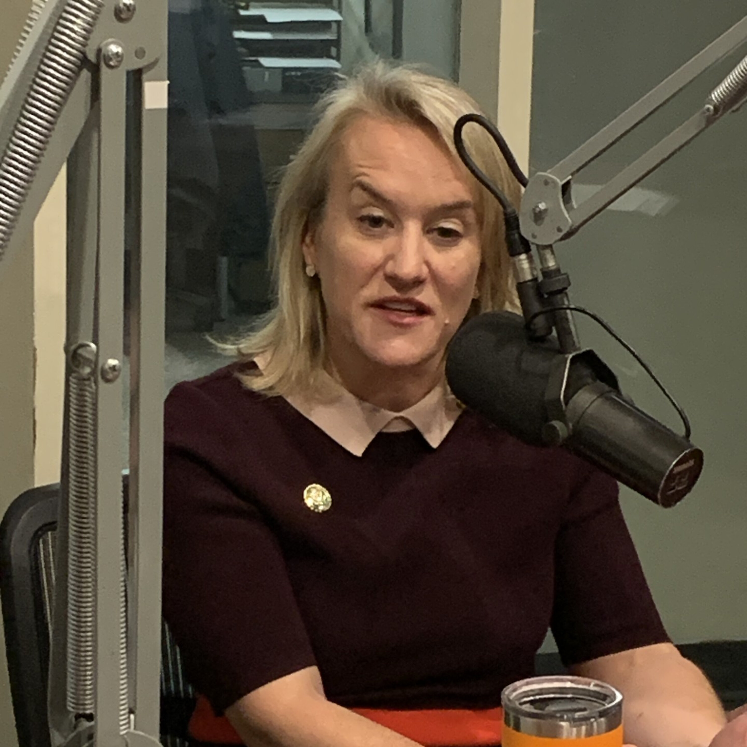 U.S. Rep. Nikki Budzinski episode artwork