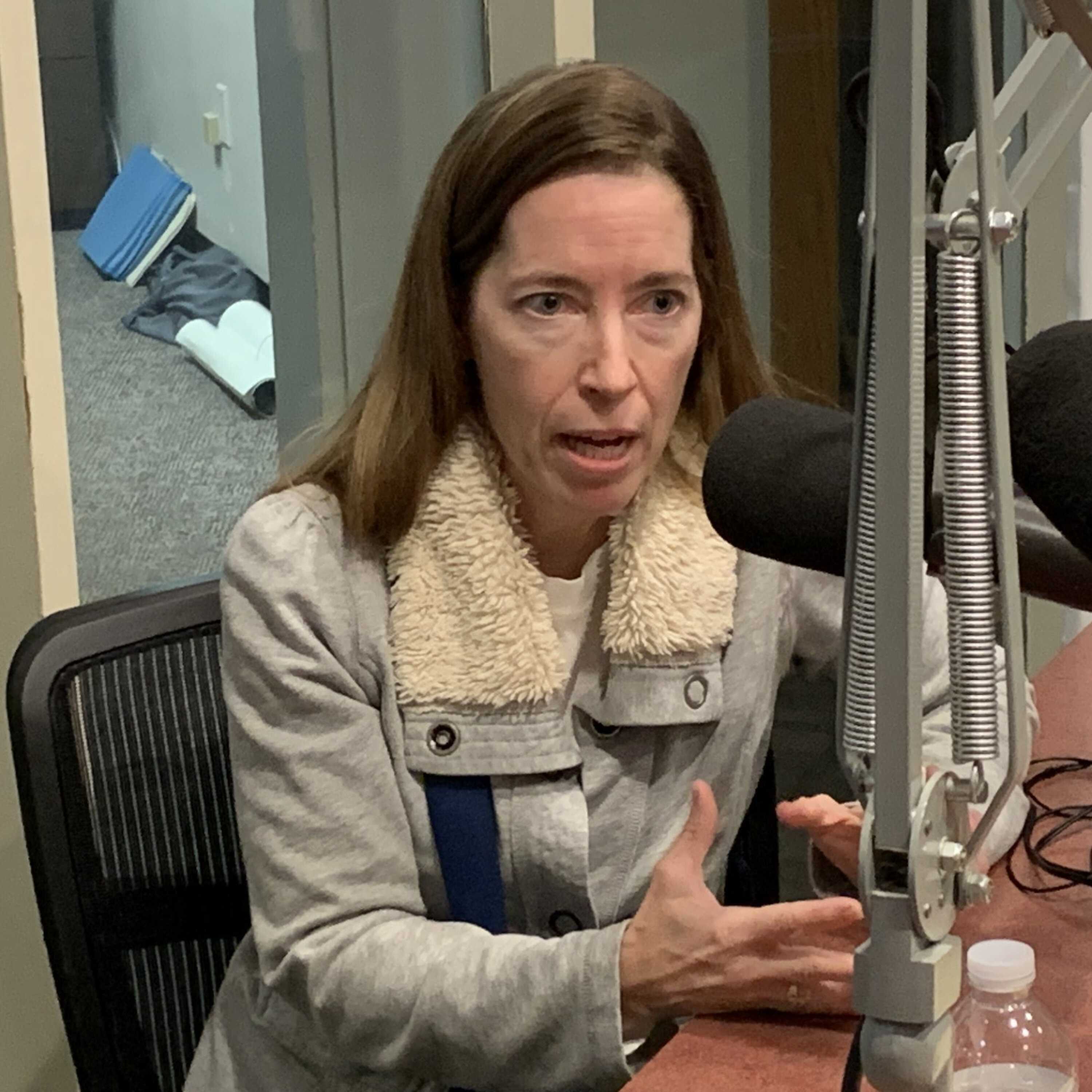 Sangamon County Board Candidate Maureen Bommarito episode artwork