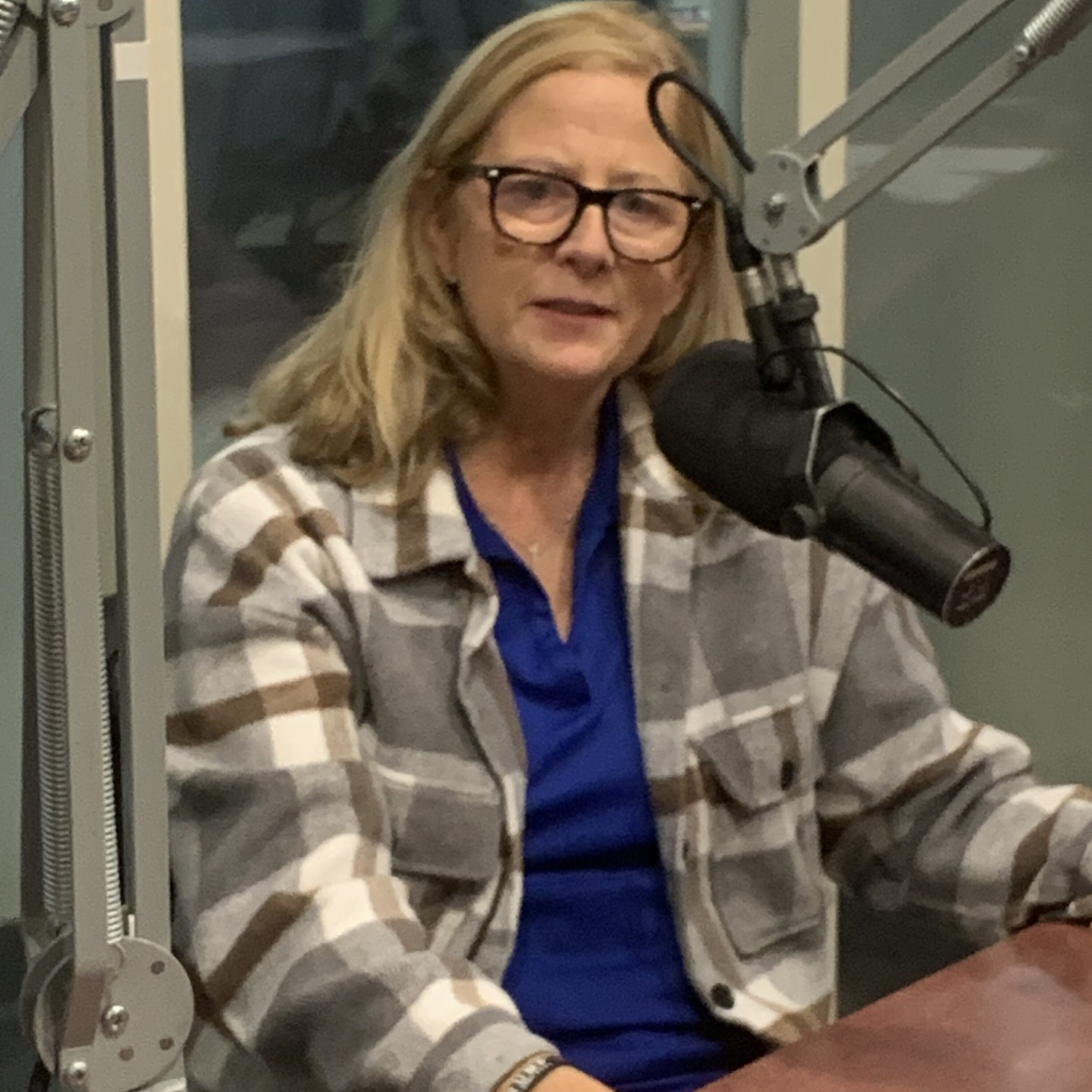 96th State Rep. Candidate Lisa Smith episode artwork