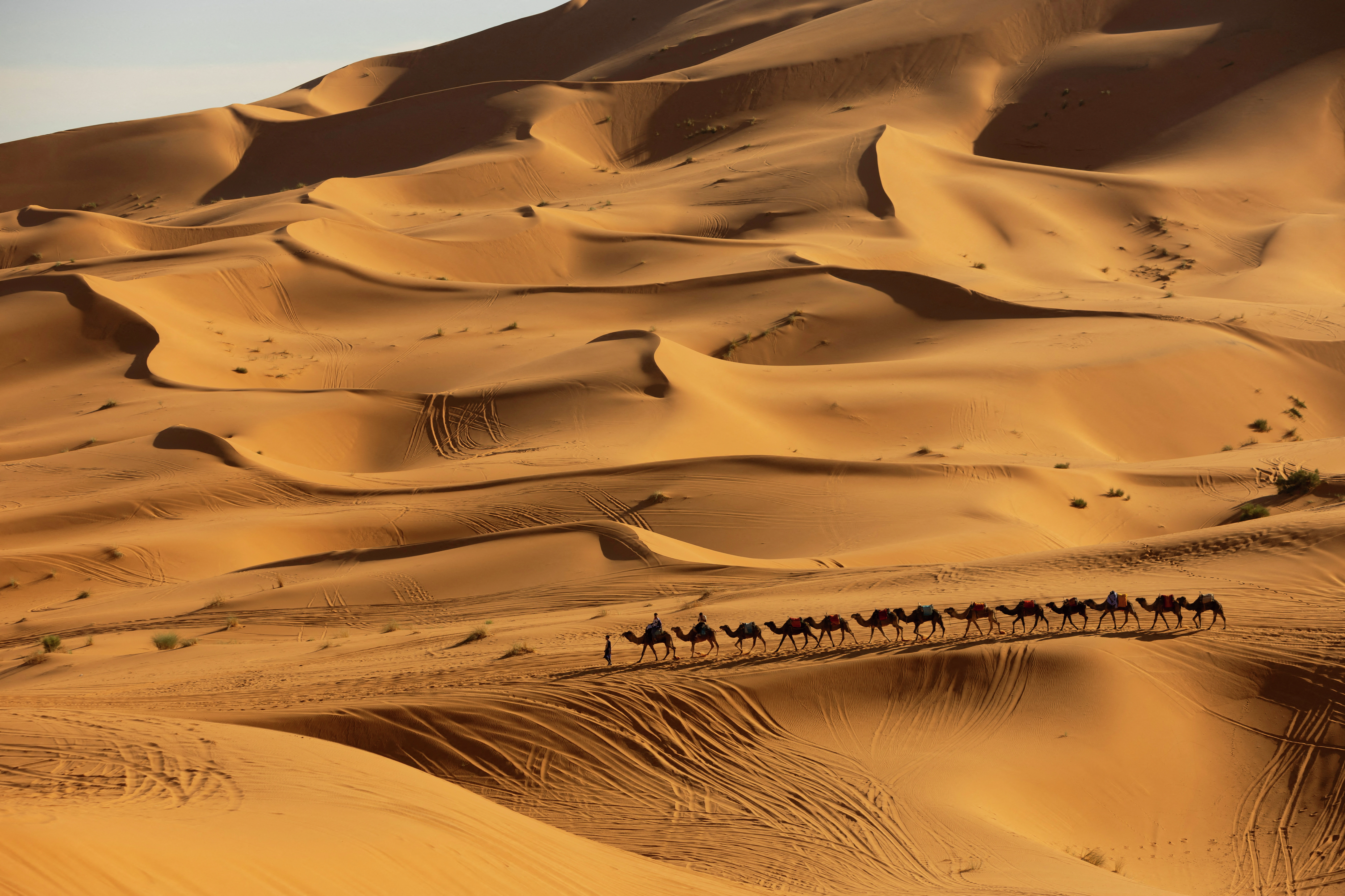 Sand From The Sahara Sure Gets Around!