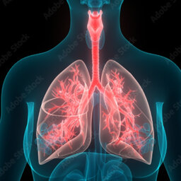 Ep. 13 - Approccio sindromico alla diagnosi delle infezioni respiratorie