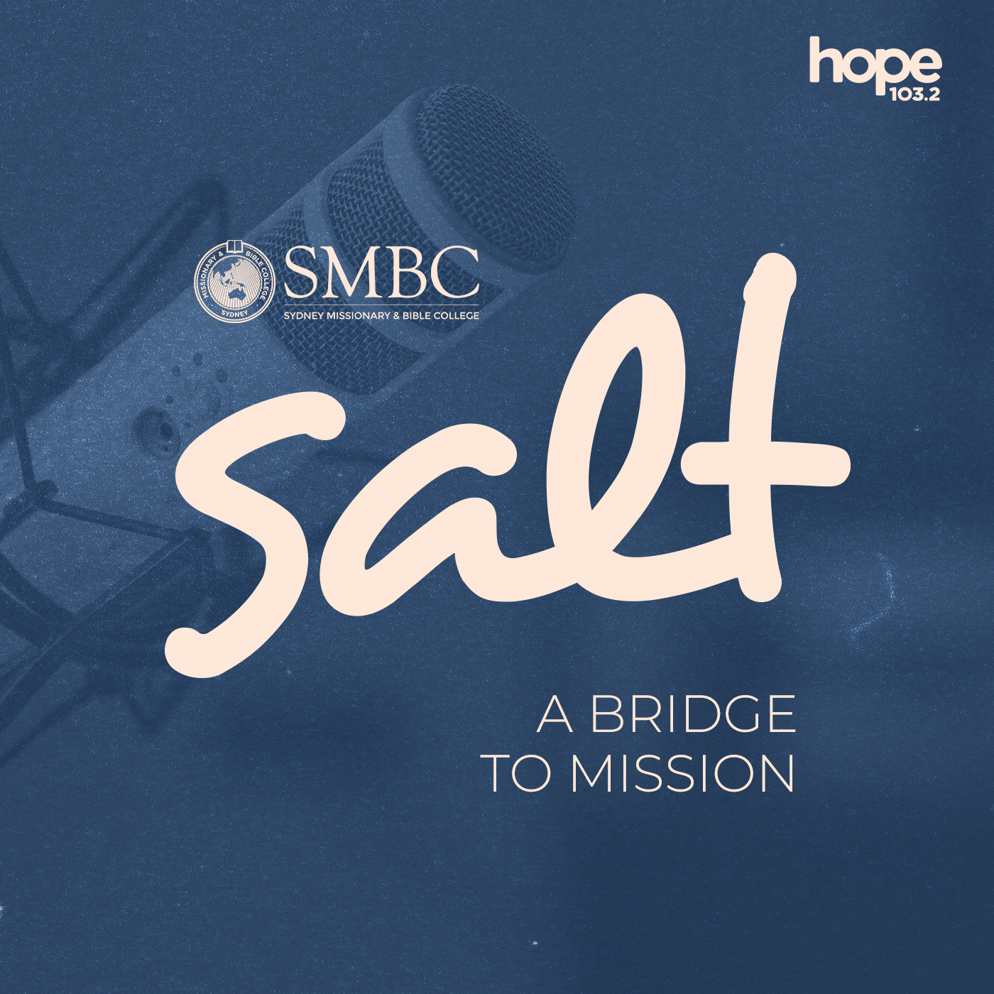 Salt – Conversations with Amy
