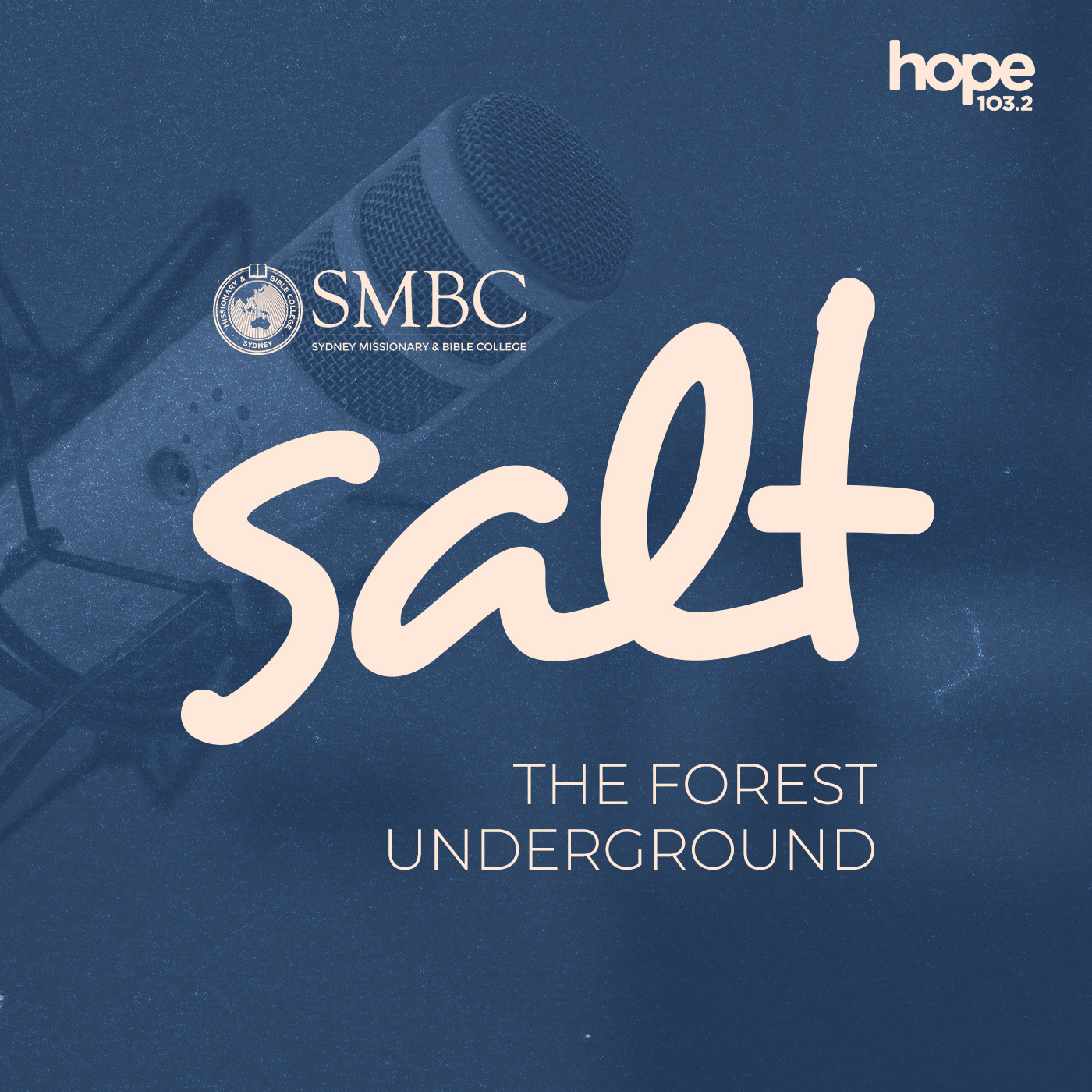 Salt – Conversations with Amy