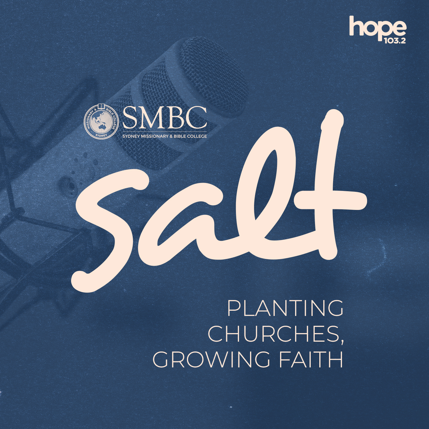 Salt – Conversations with Amy