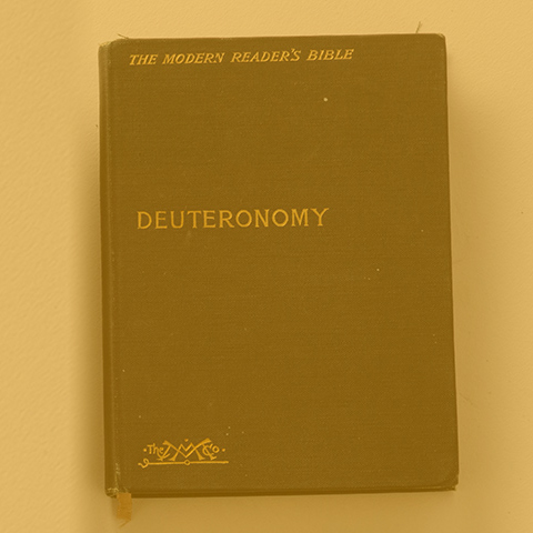 Deuteronomy, Part 7: “Signs of Life and Death” episode artwork