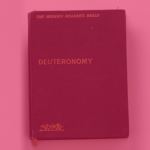 Deuteronomy, Part 4: “Applying the Truth” episode artwork