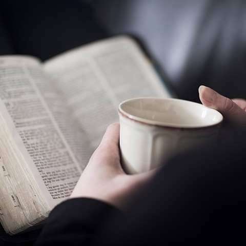 Lessons from Titus, Part 2: “Effective Living” — A Christian Growth Message episode artwork