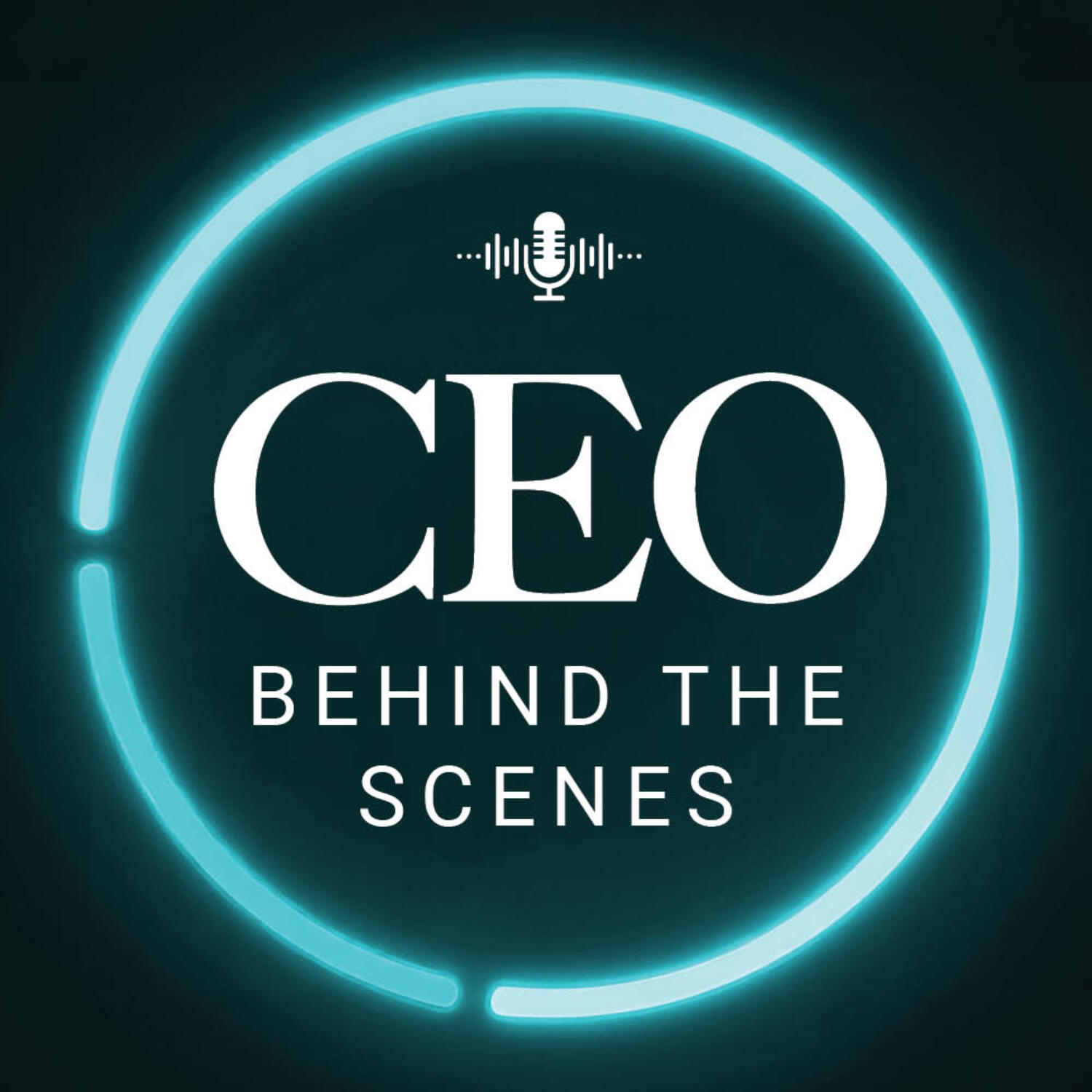 CEO: Behind the Scenes