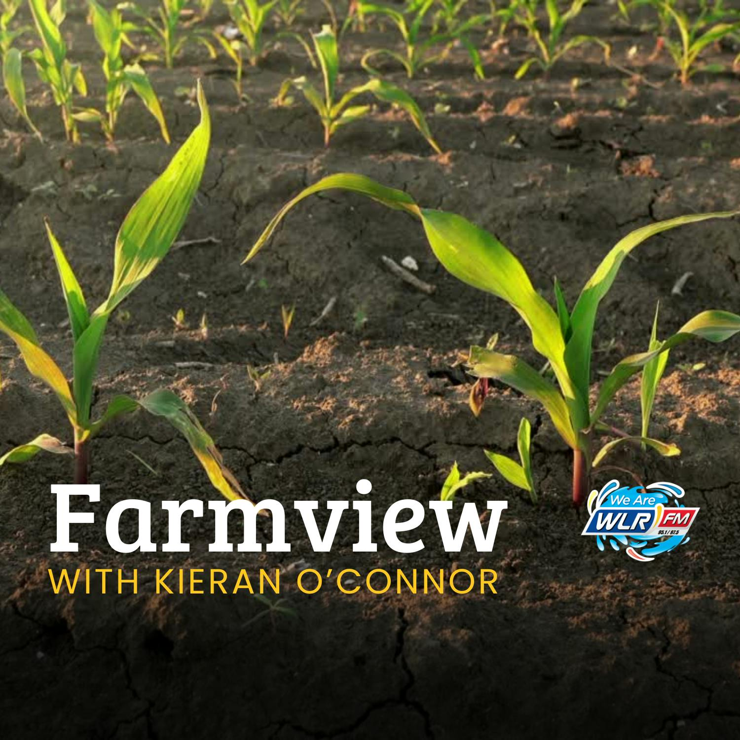 Farmview July 10th 2025 episode artwork