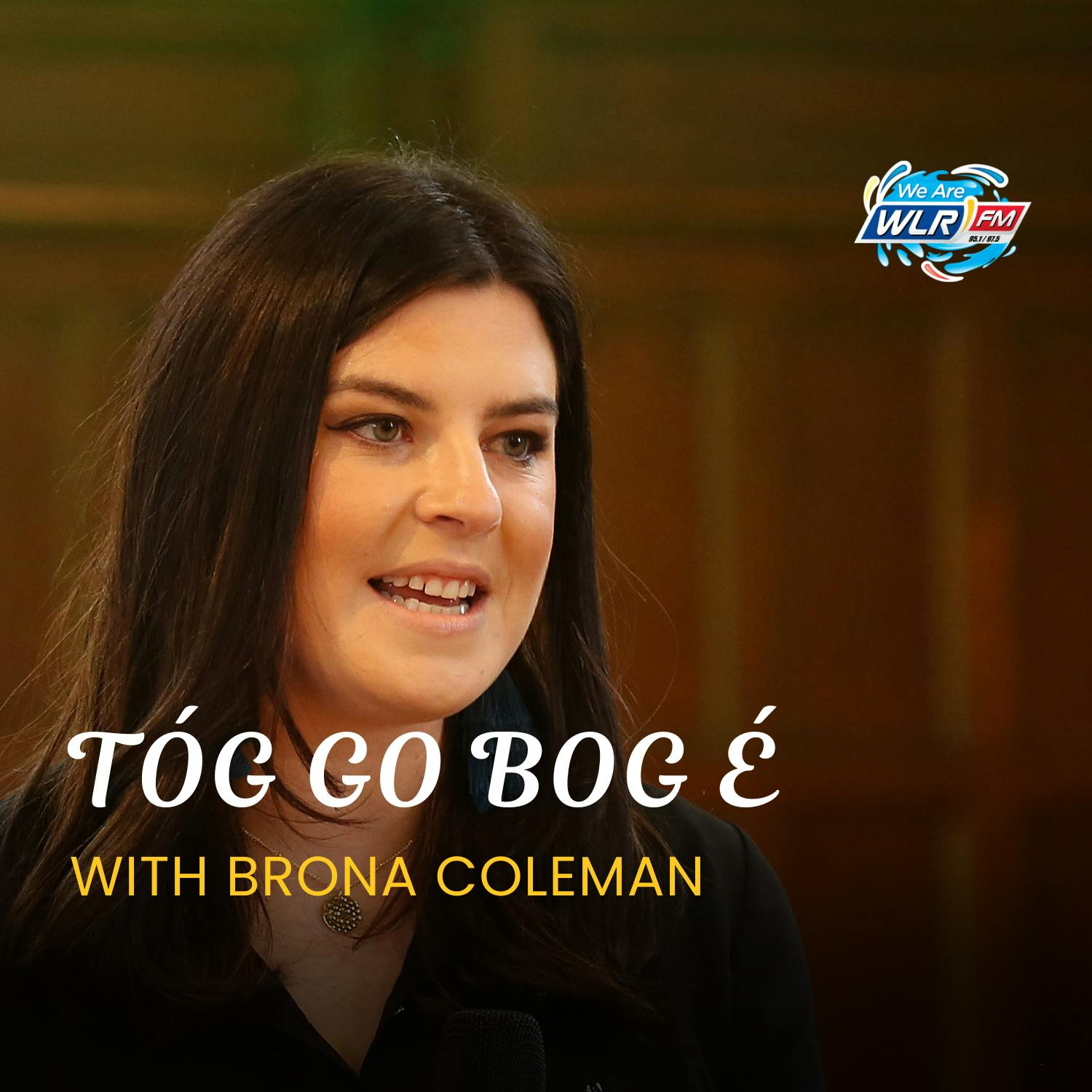 Sat 17th - Áine Ní Bhreisleáin episode artwork