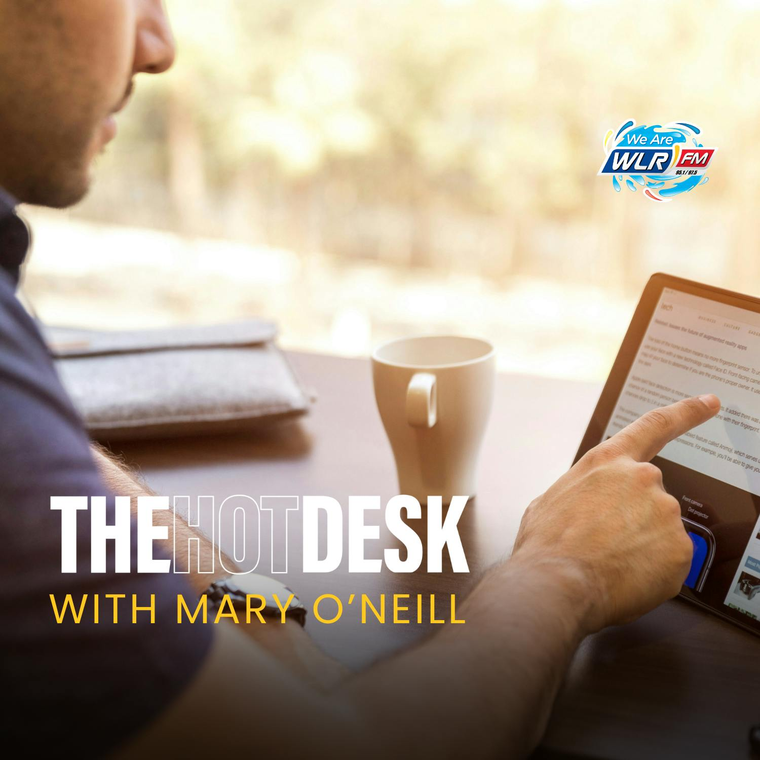 Hot Desk, Thejourney.ie, Meg Dunphy CIPD, .ie Domain Profile Report episode artwork