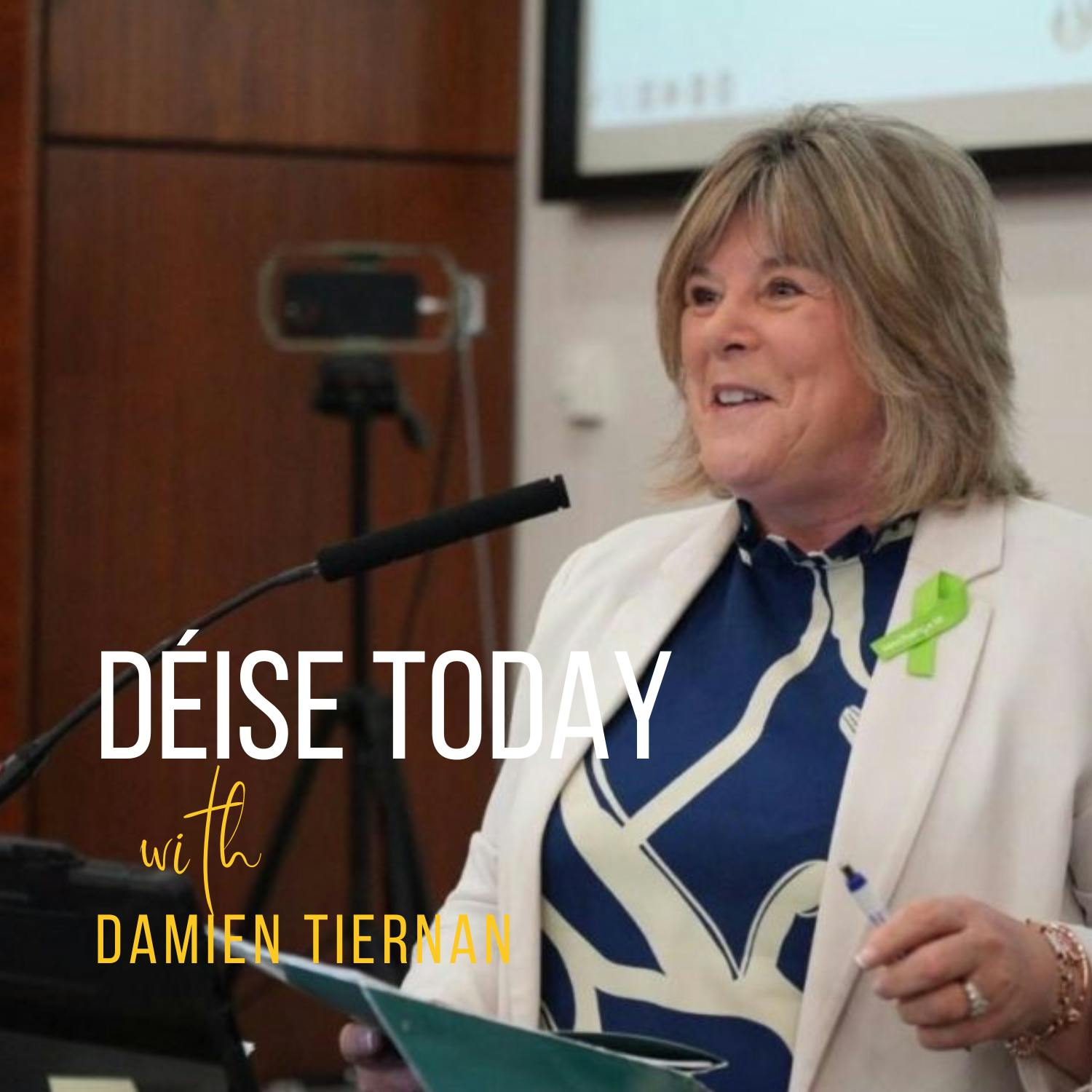 Waterford TD Mary Butler on Presidential Election, Taoiseach Micheal Martin and Waterford Airport! episode artwork