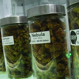 Cannabis countdown: how ready is B.C.?