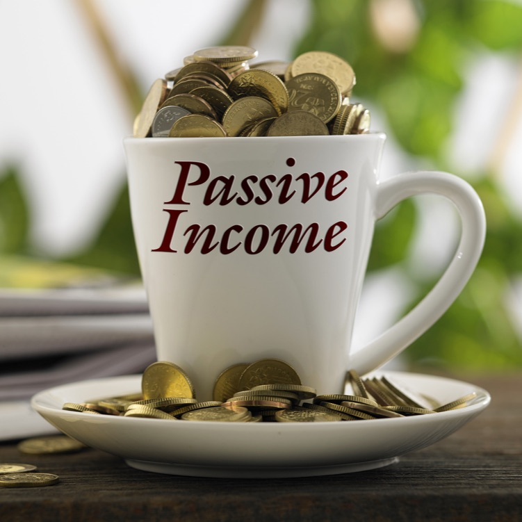 Passive Income Is Looking South episode artwork