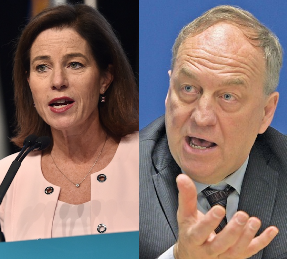 Where does the GreeNDP alliance stand after one year?