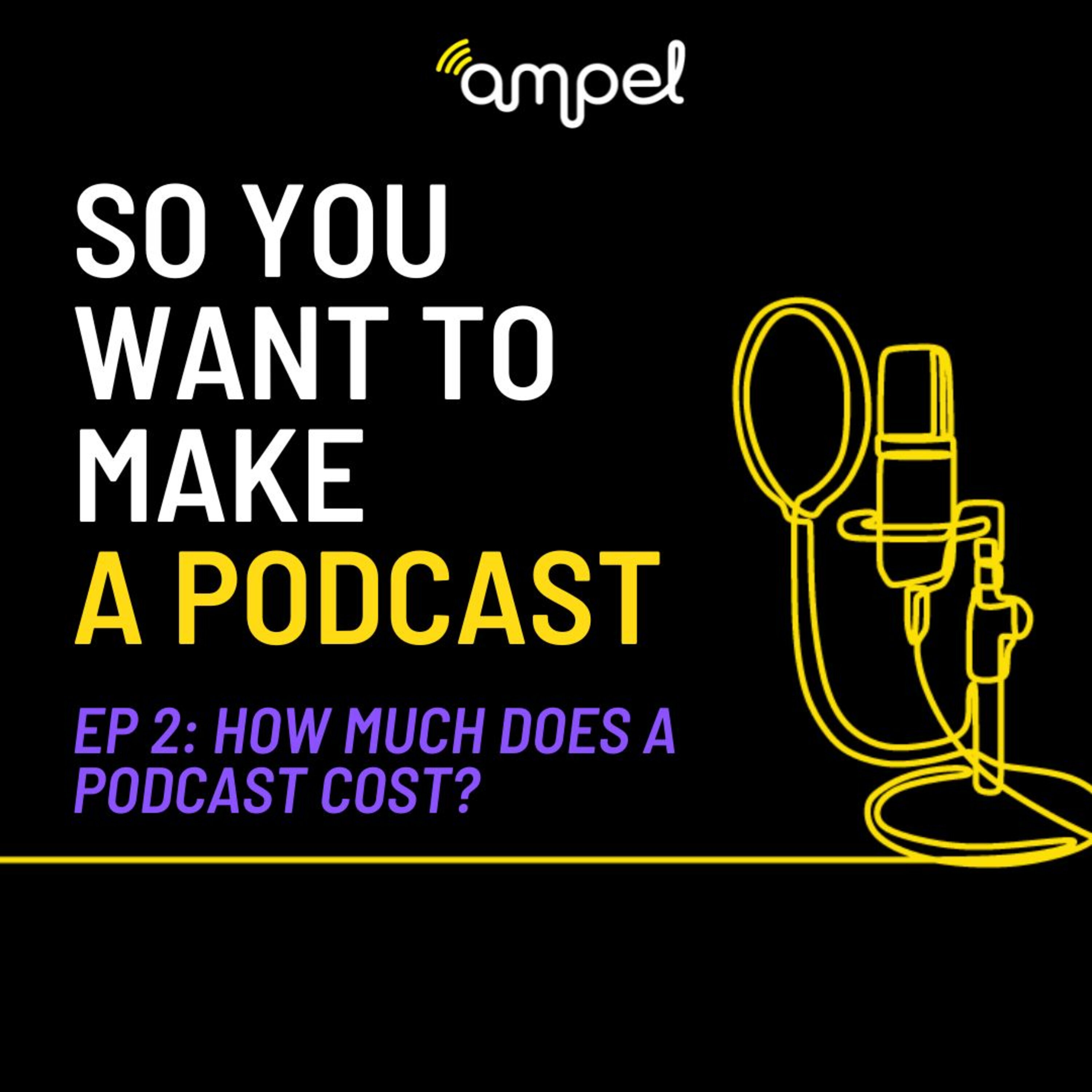 2. So You Want To Make A Podcast: How Much Does A Podcast Cost episode artwork