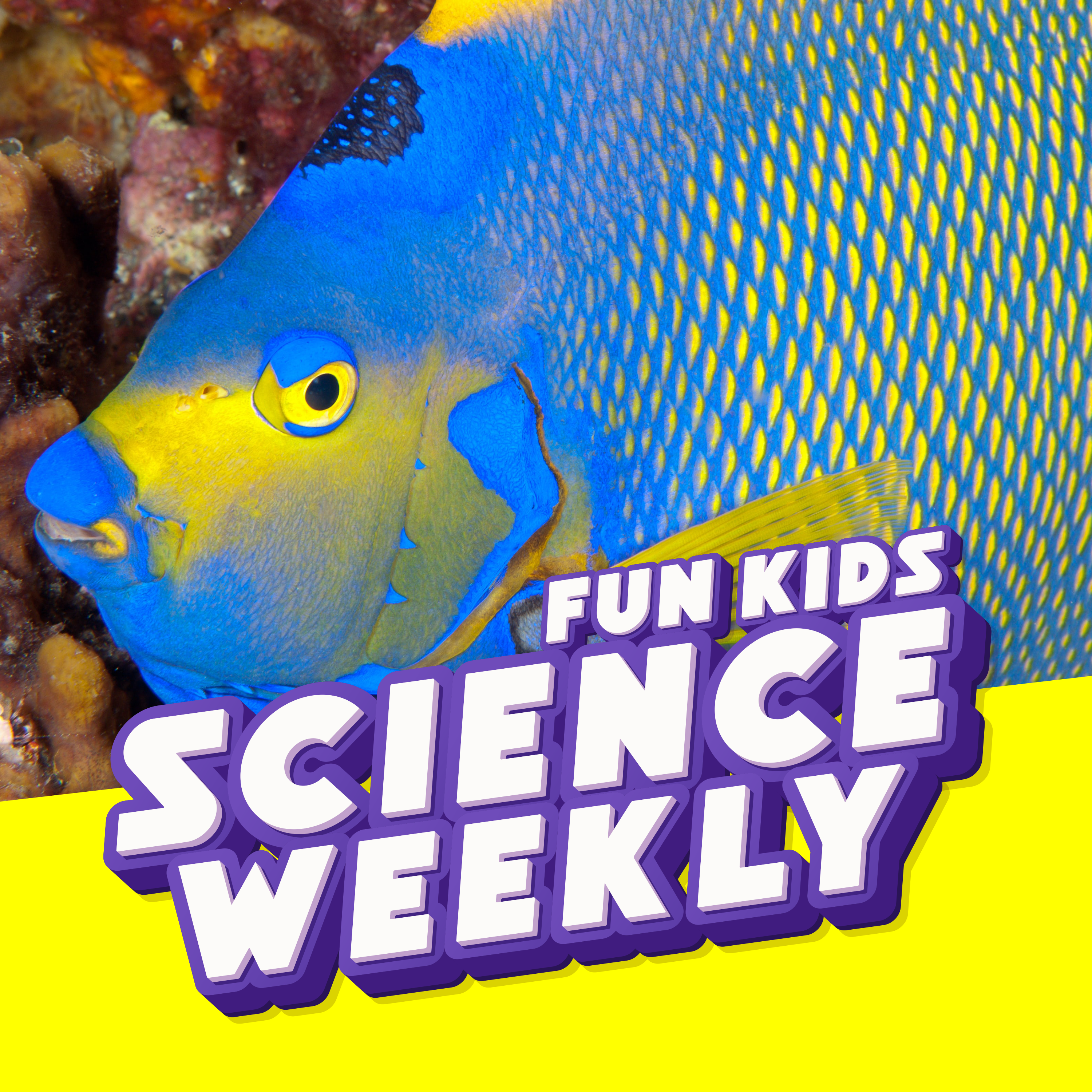 Fun Kids Science Quest
