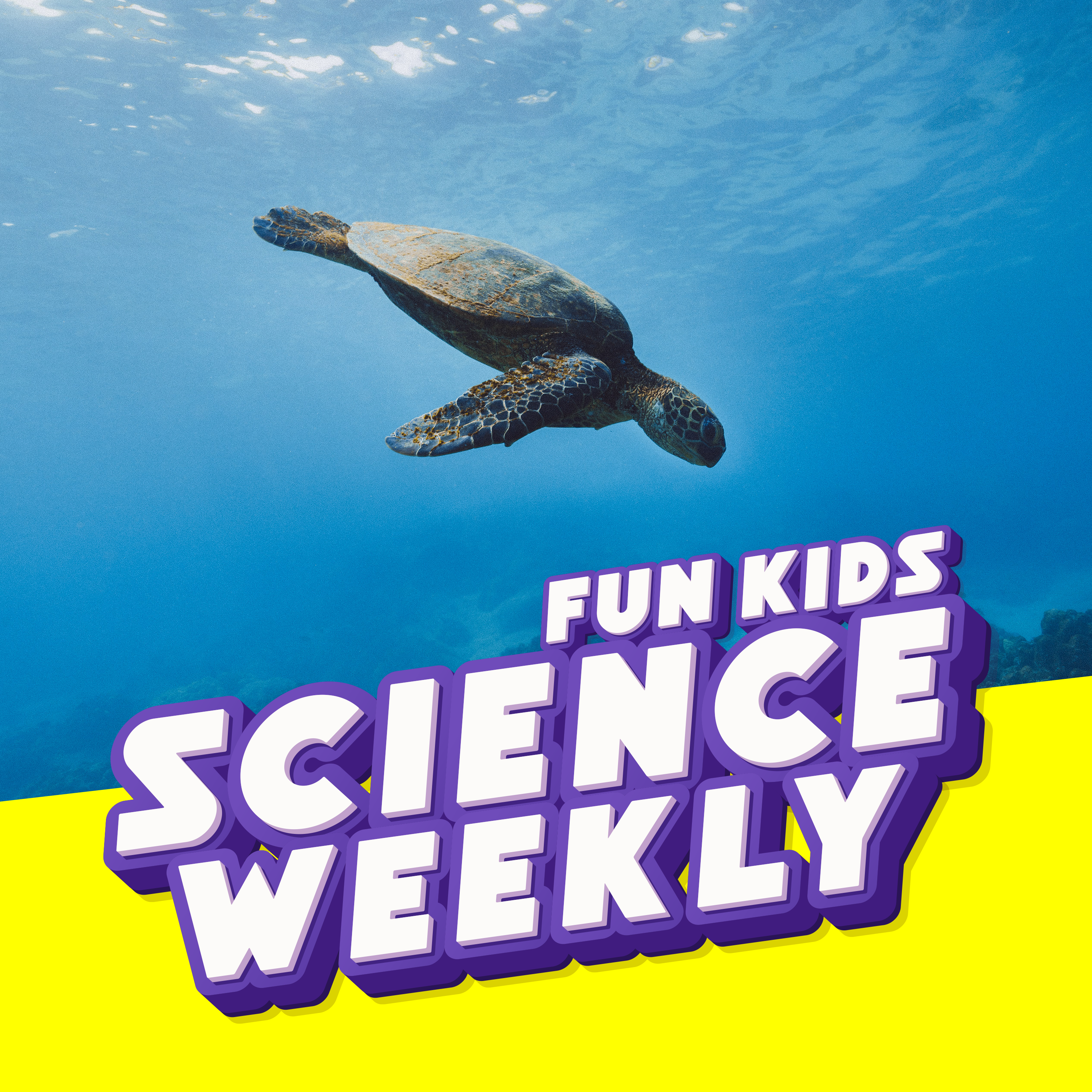 Fun Kids Science Quest