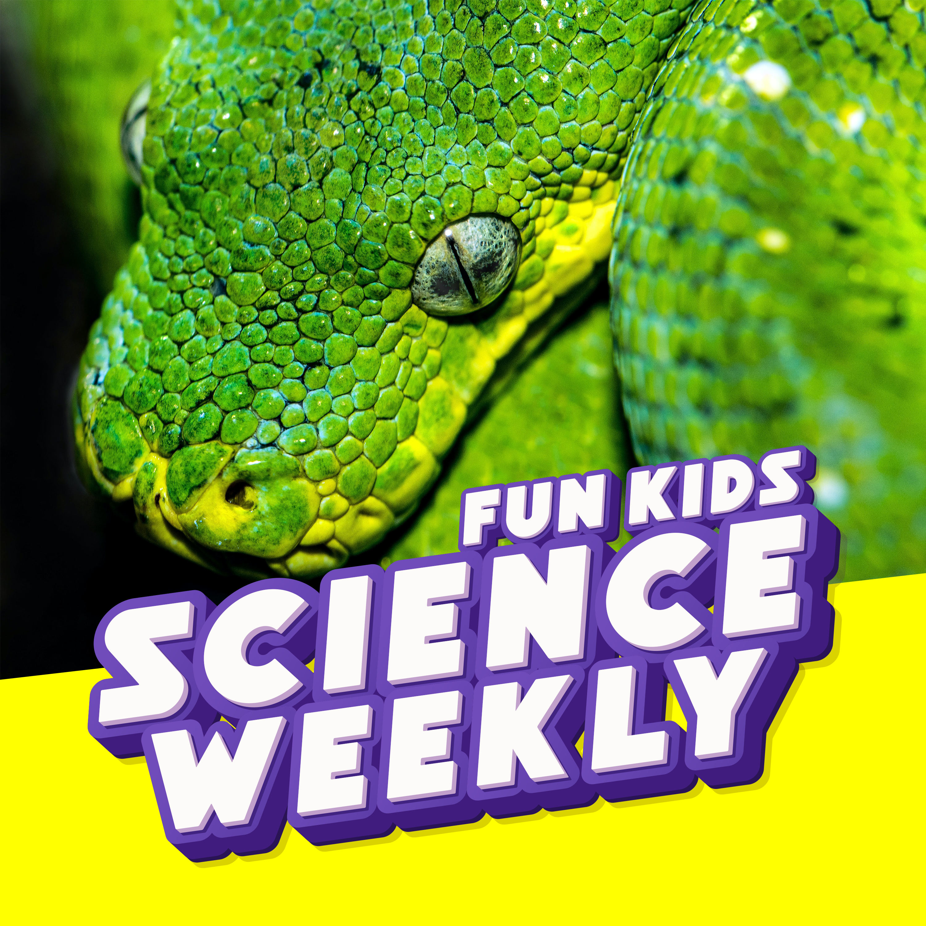 Fun Kids Science Quest