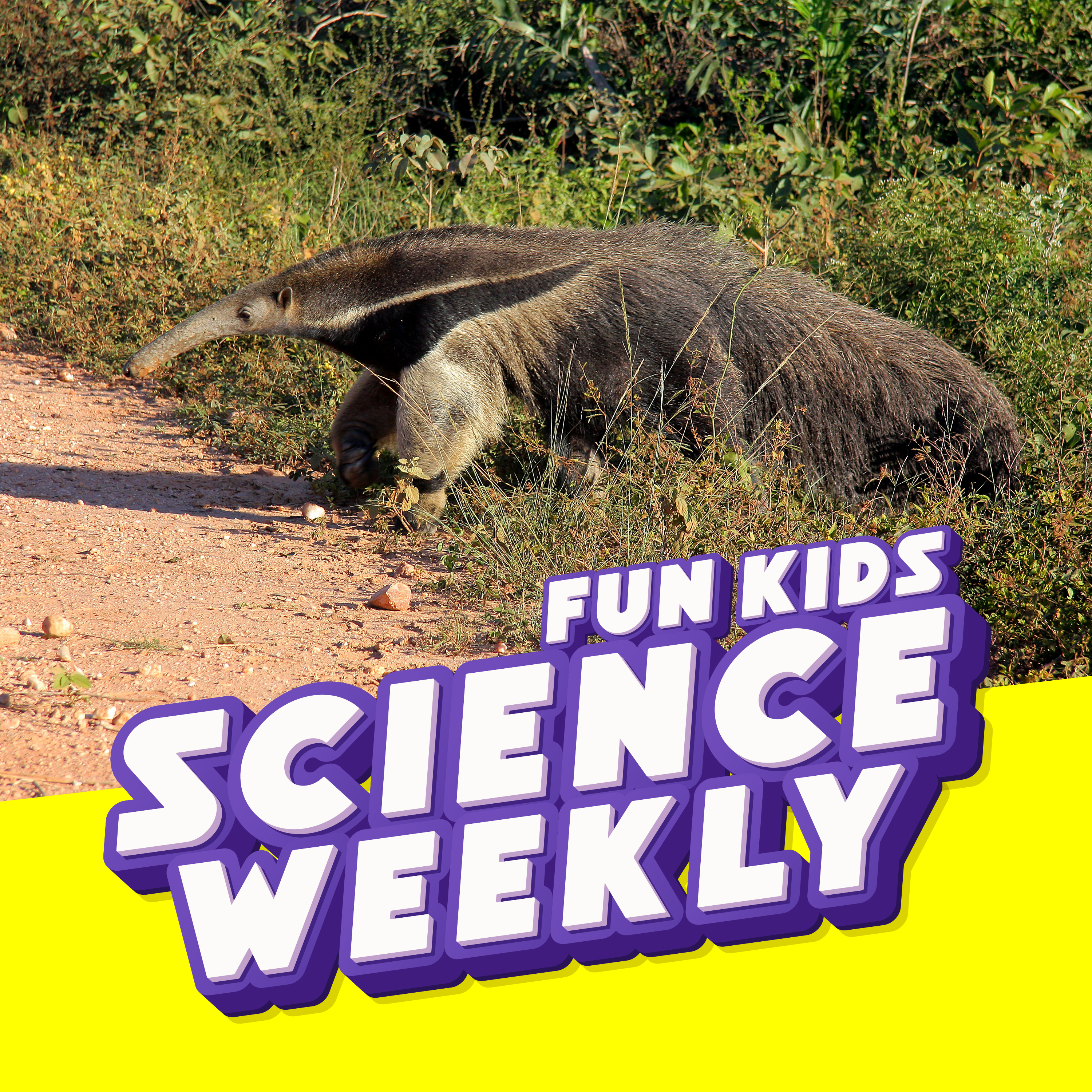 Fun Kids Science Quest
