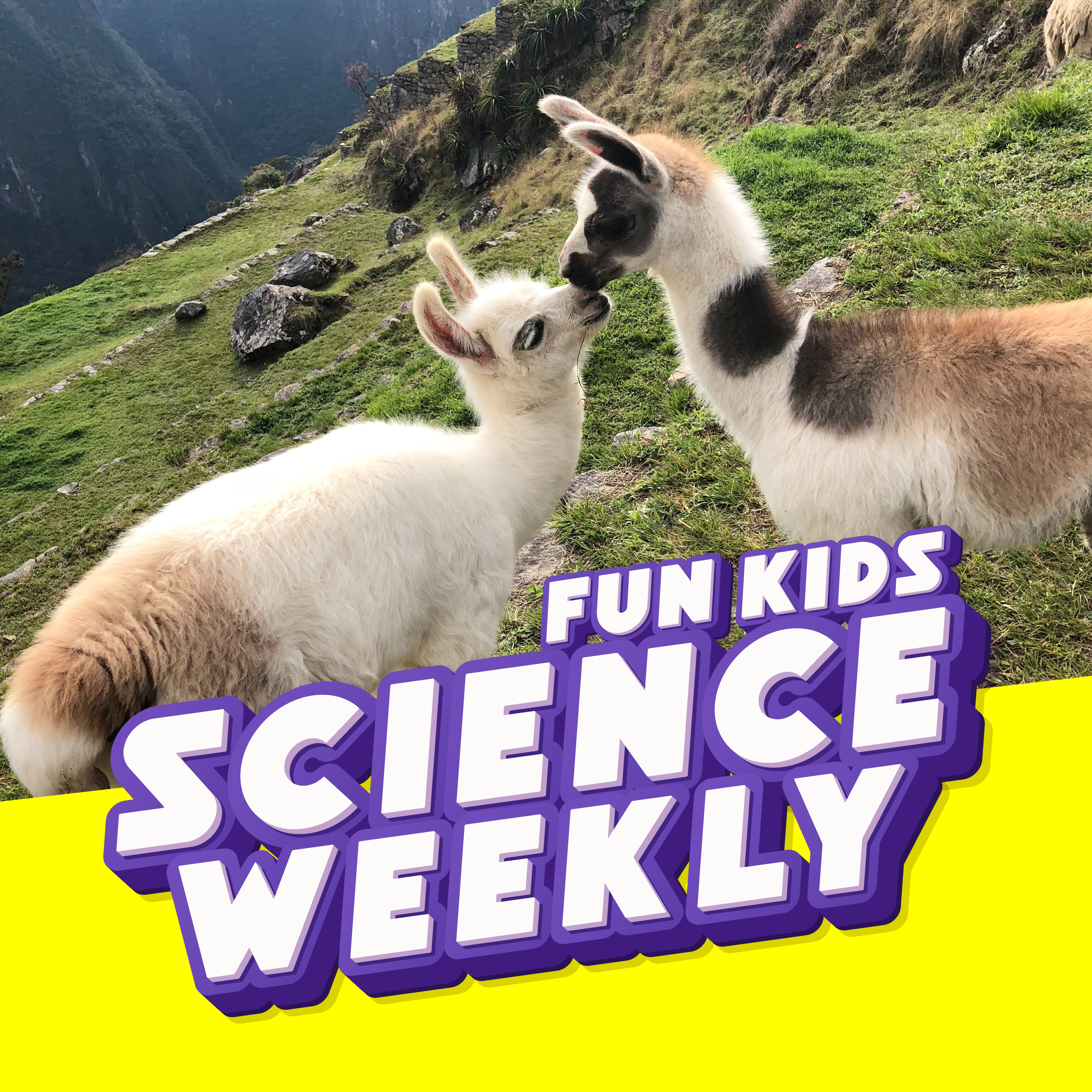 How Are LLAMAS Fighting VIRUSES?!