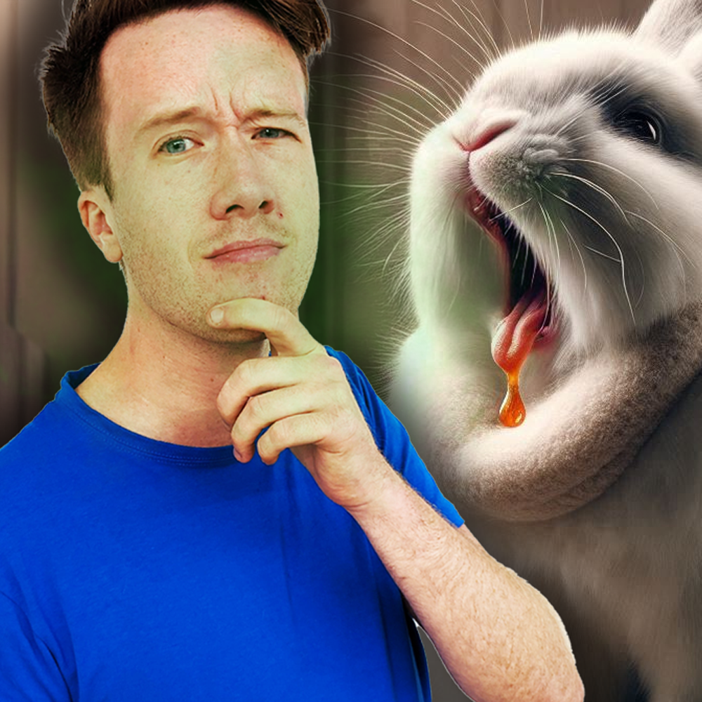 MIDWEEKLY: Can Animals Burp? 💨🐶