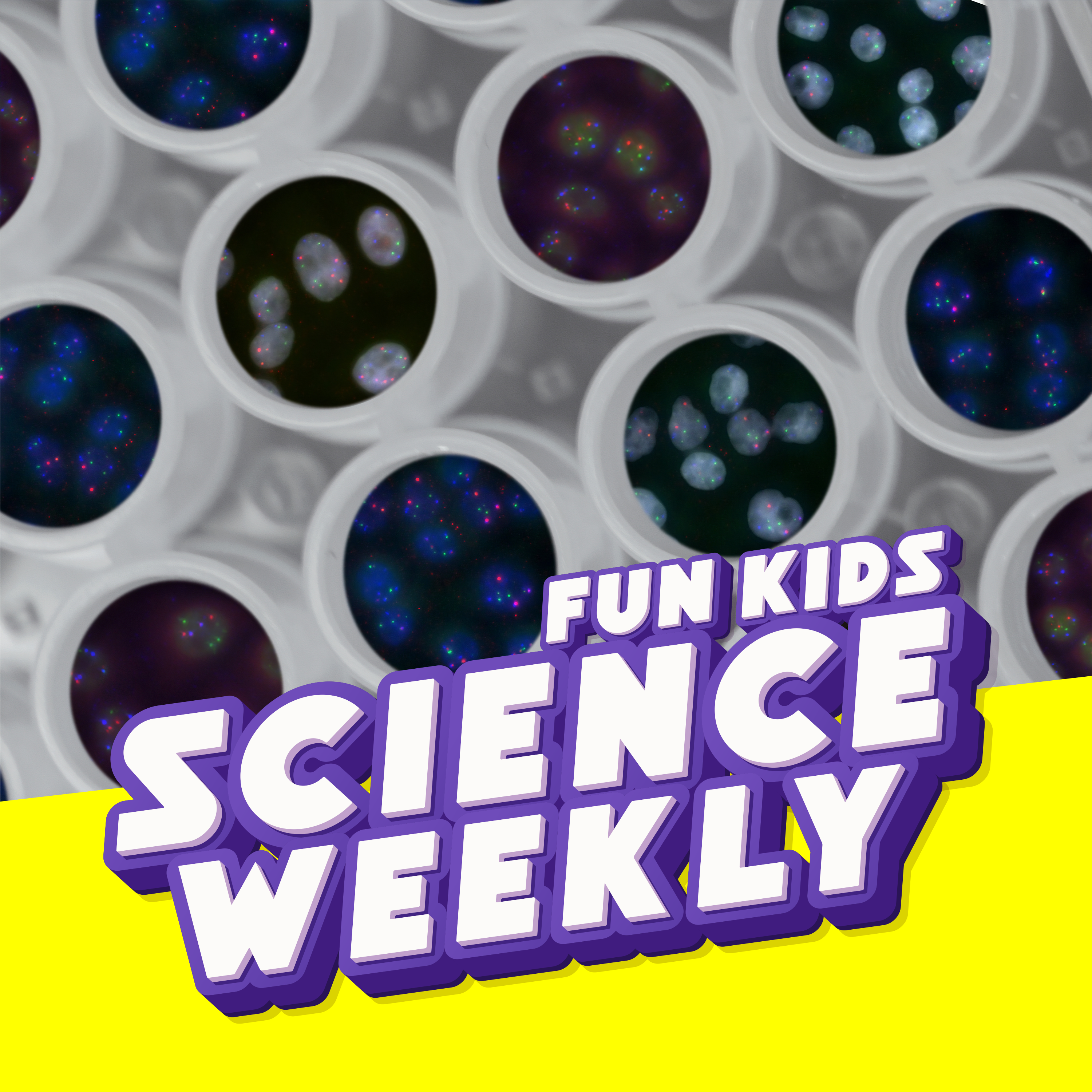 Fun Kids Science Quest