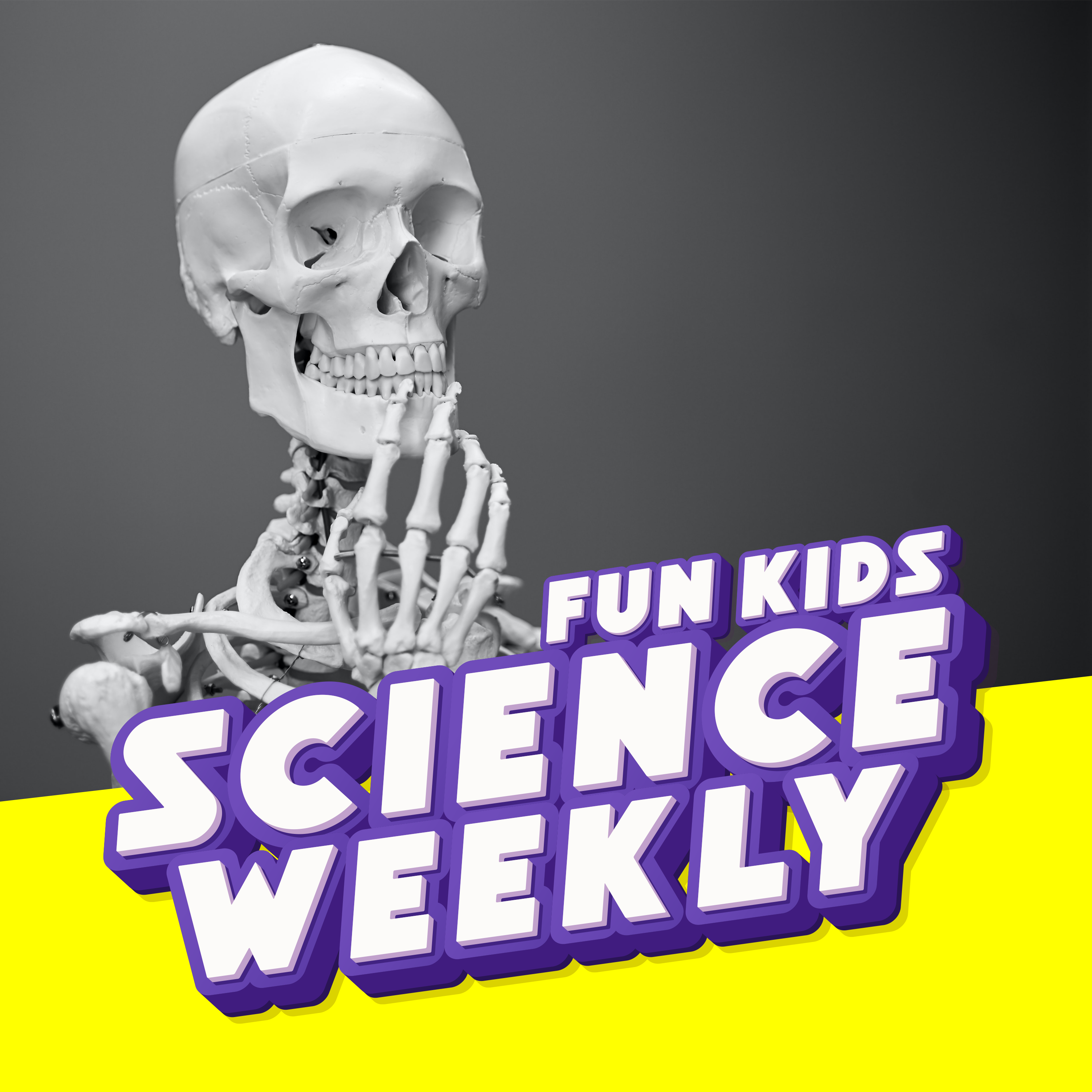 Fun Kids Science Quest