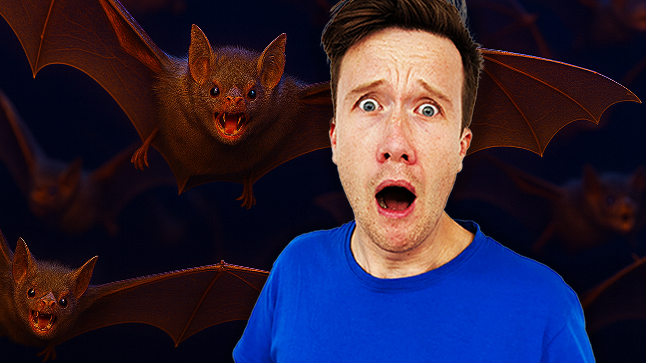 MIDWEEKLY: Why Do Vampire Bats Drink Blood?🦇🩸