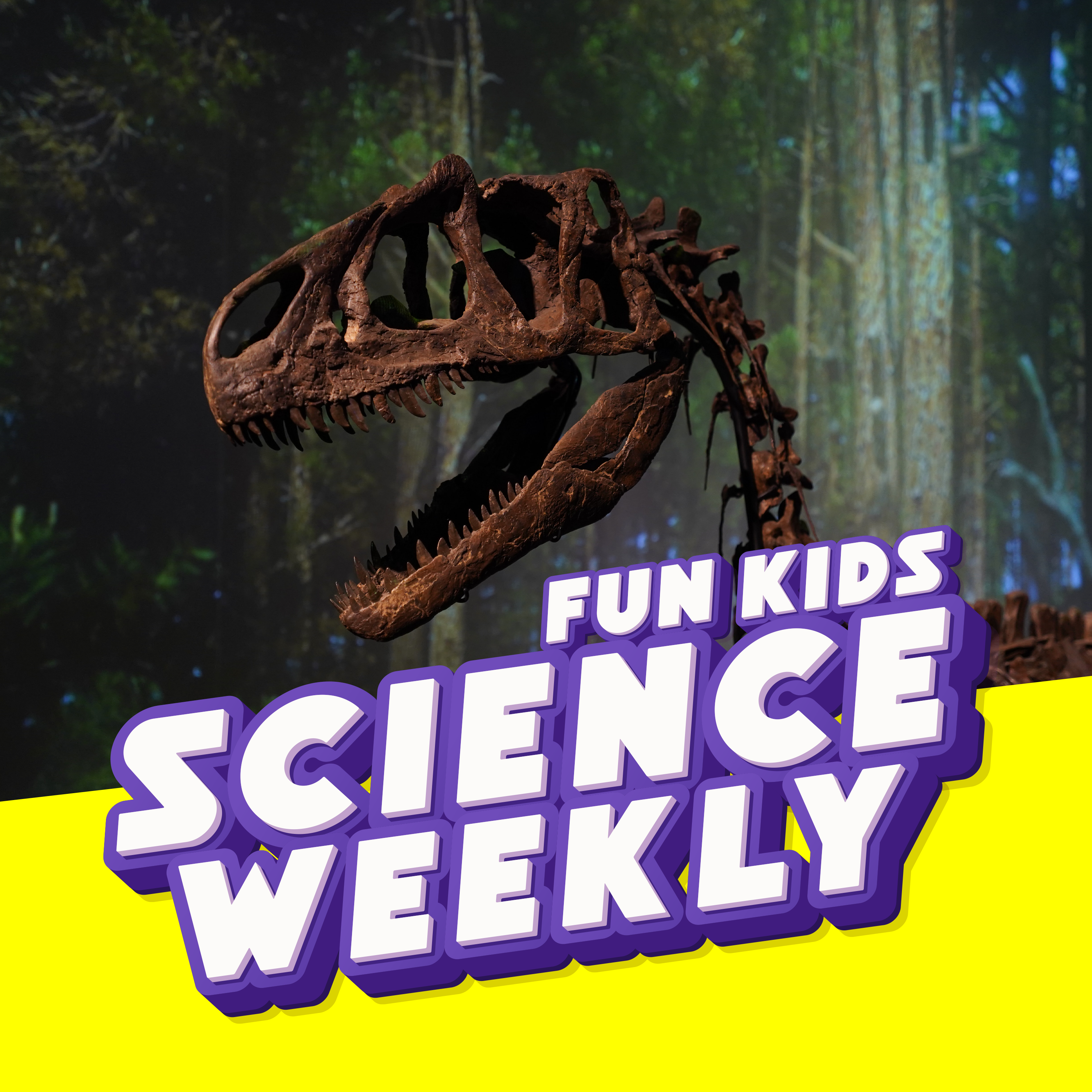 Fun Kids Science Quest