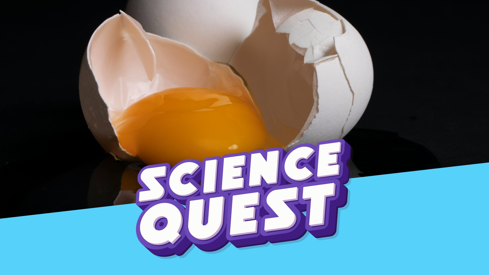 The Loudest Breakfast Ever: Cooking Eggs With Pure Sound Waves 🔊🥚