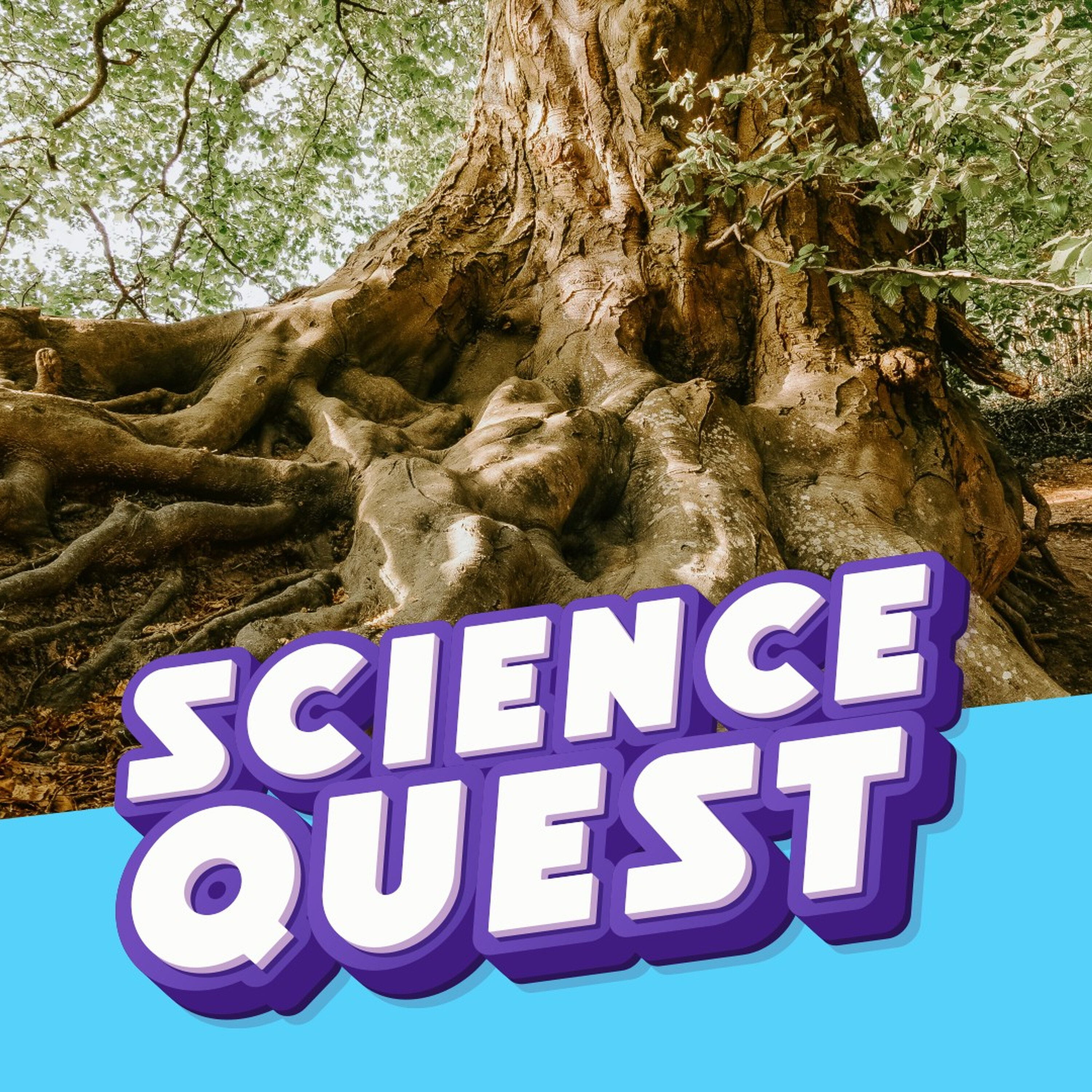 Artwork for Fun Kids Science Quest