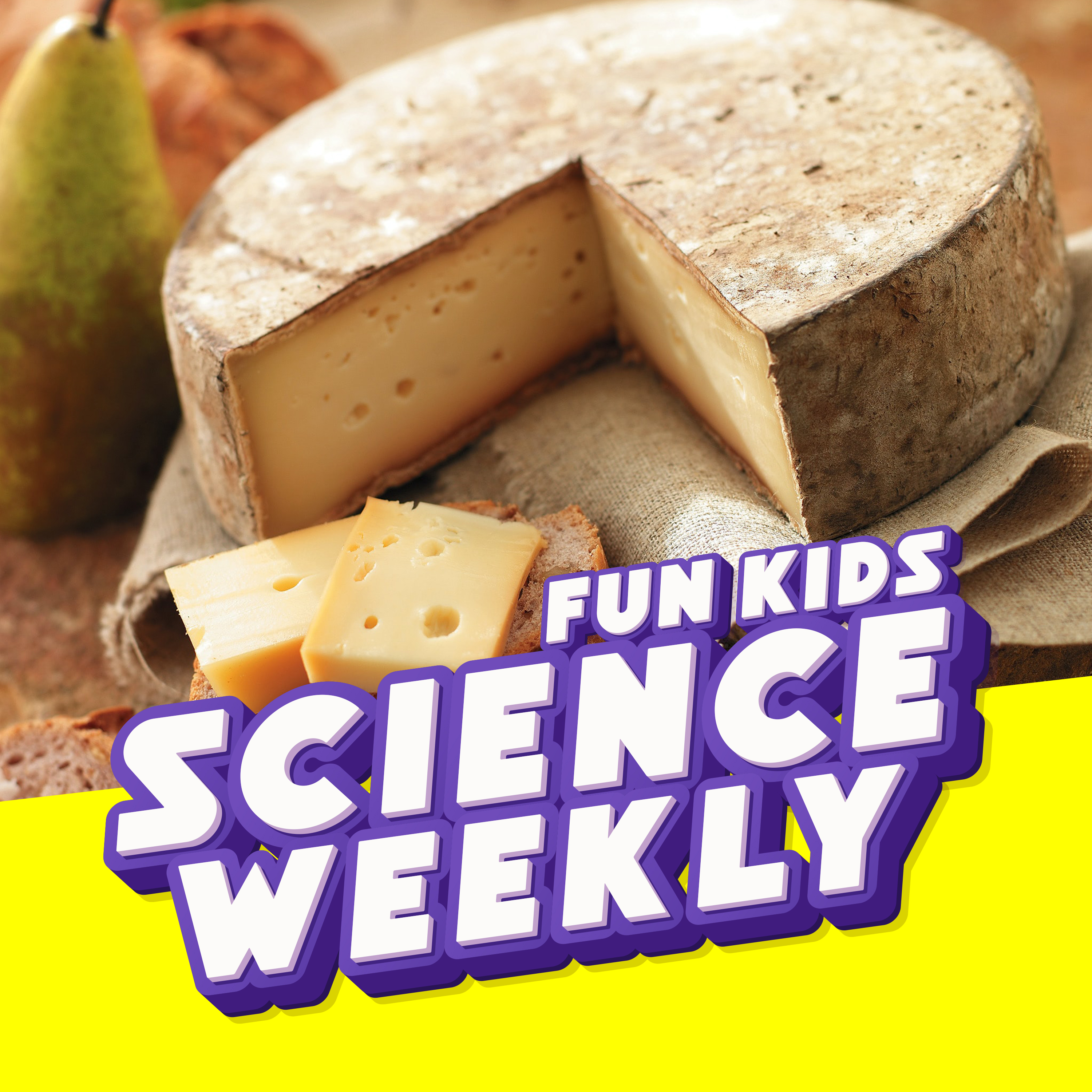 Fun Kids Science Quest