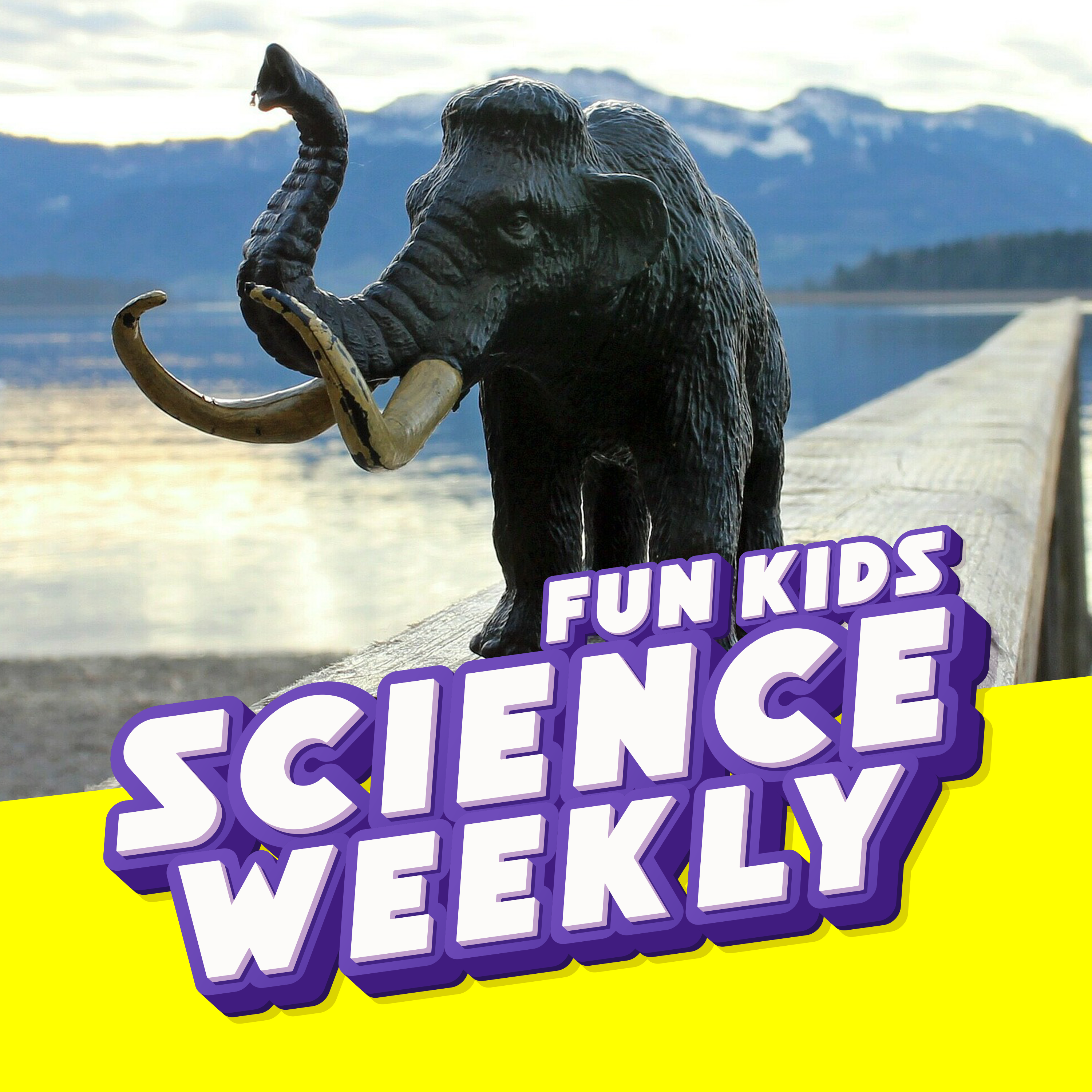 Fun Kids Science Quest