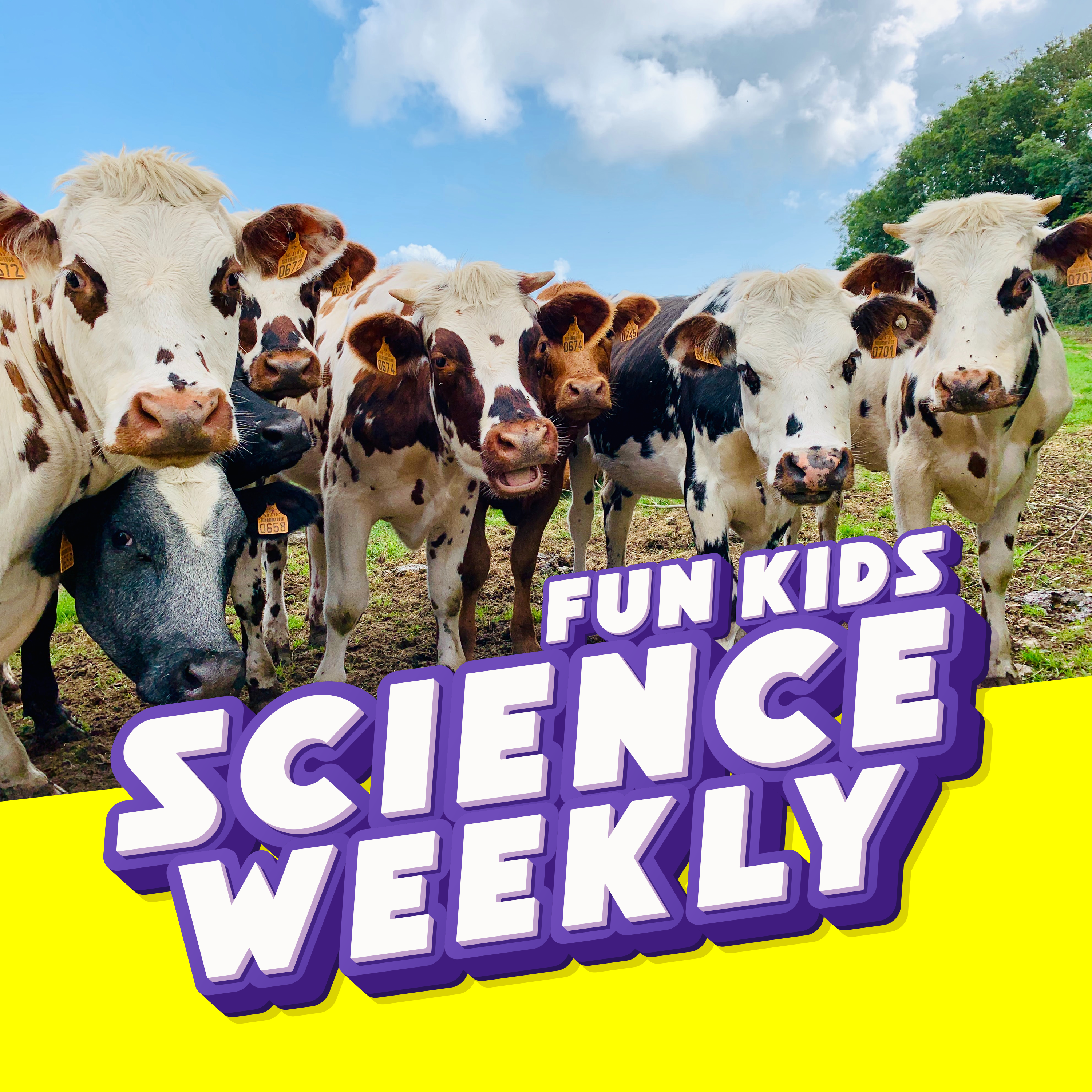 Fun Kids Science Quest