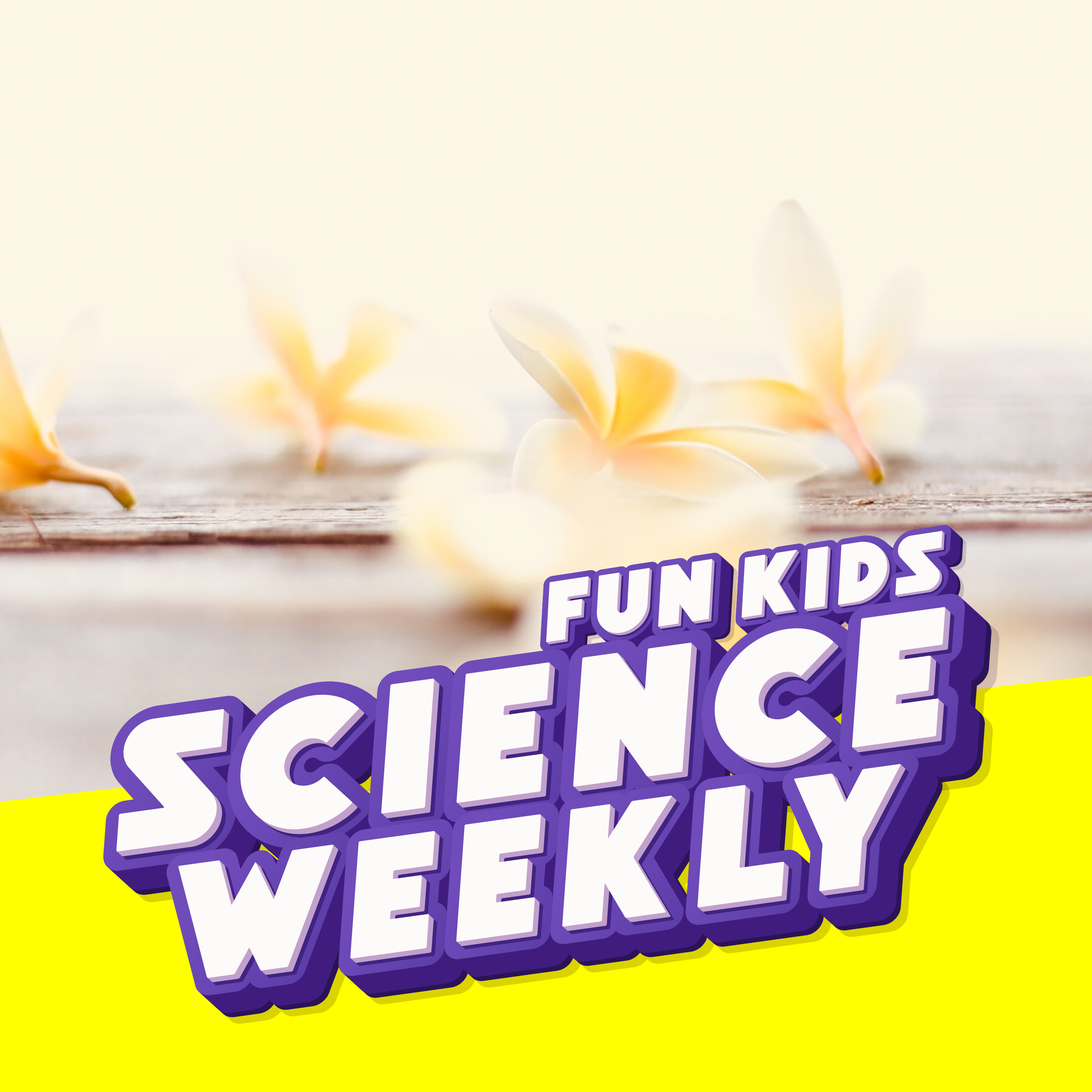 Fun Kids Science Quest