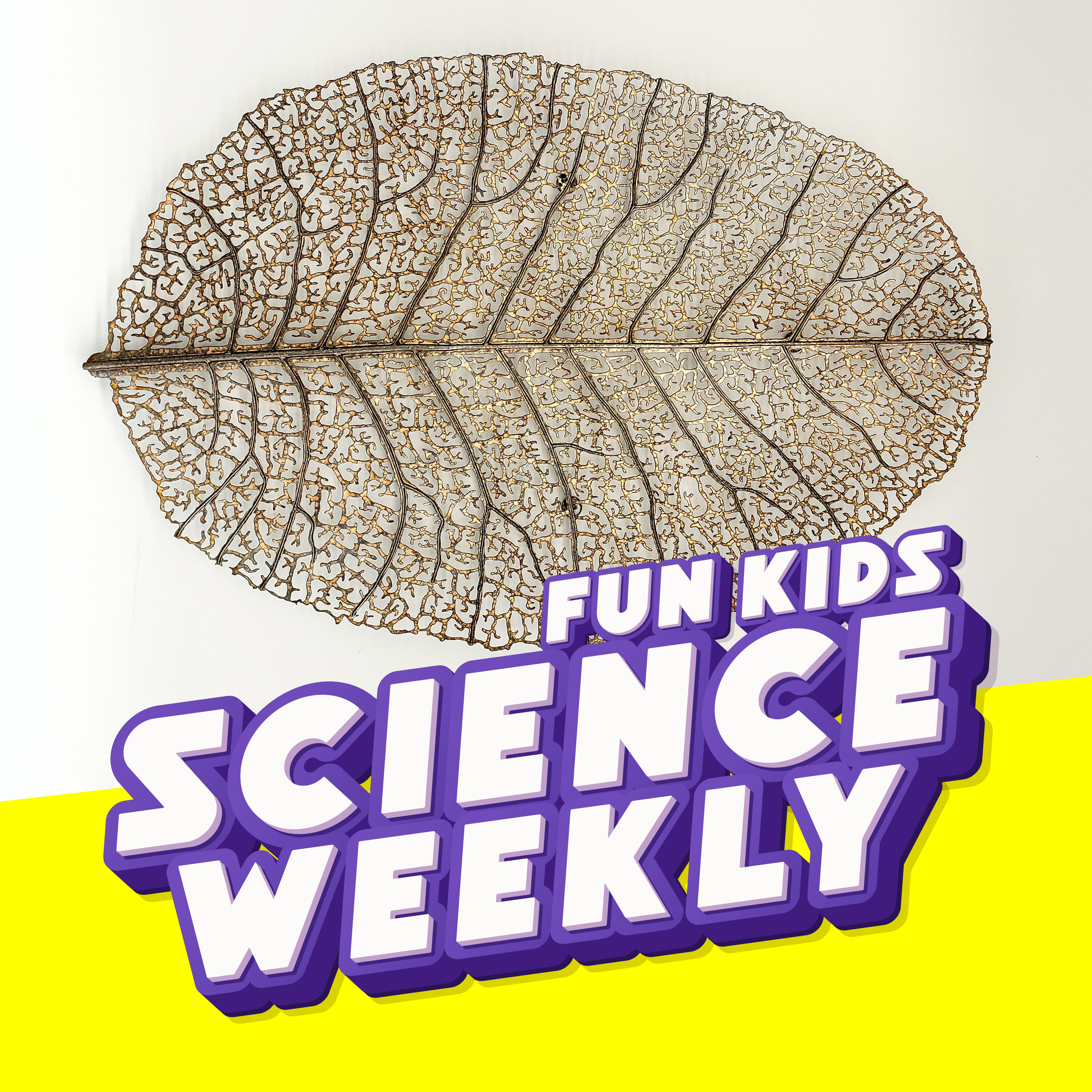 The Worlds Best Hunters and Dr. Tammo Reichgelt on Mummified Plants!