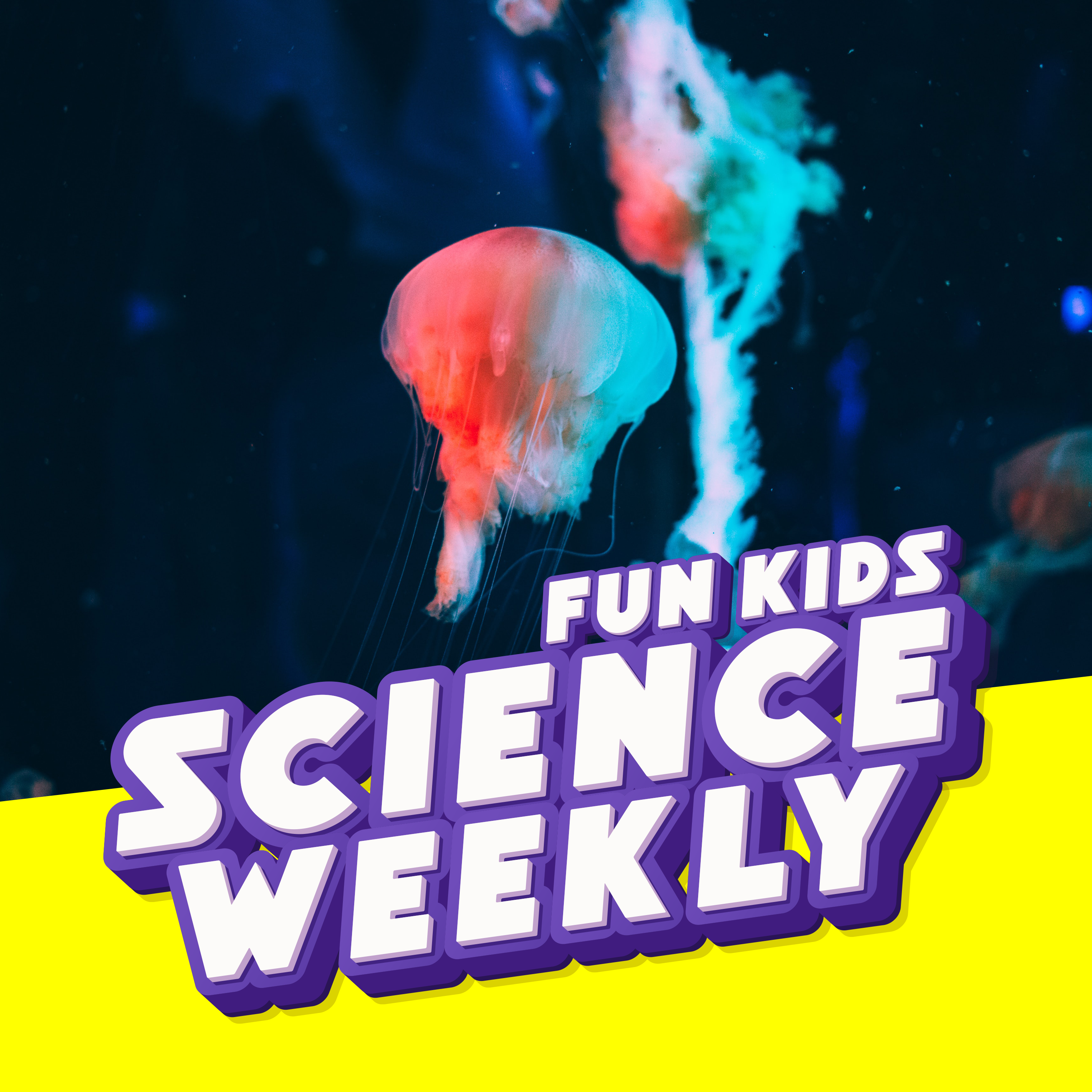 Glow-in-the-Dark Animals and Acid Rain!