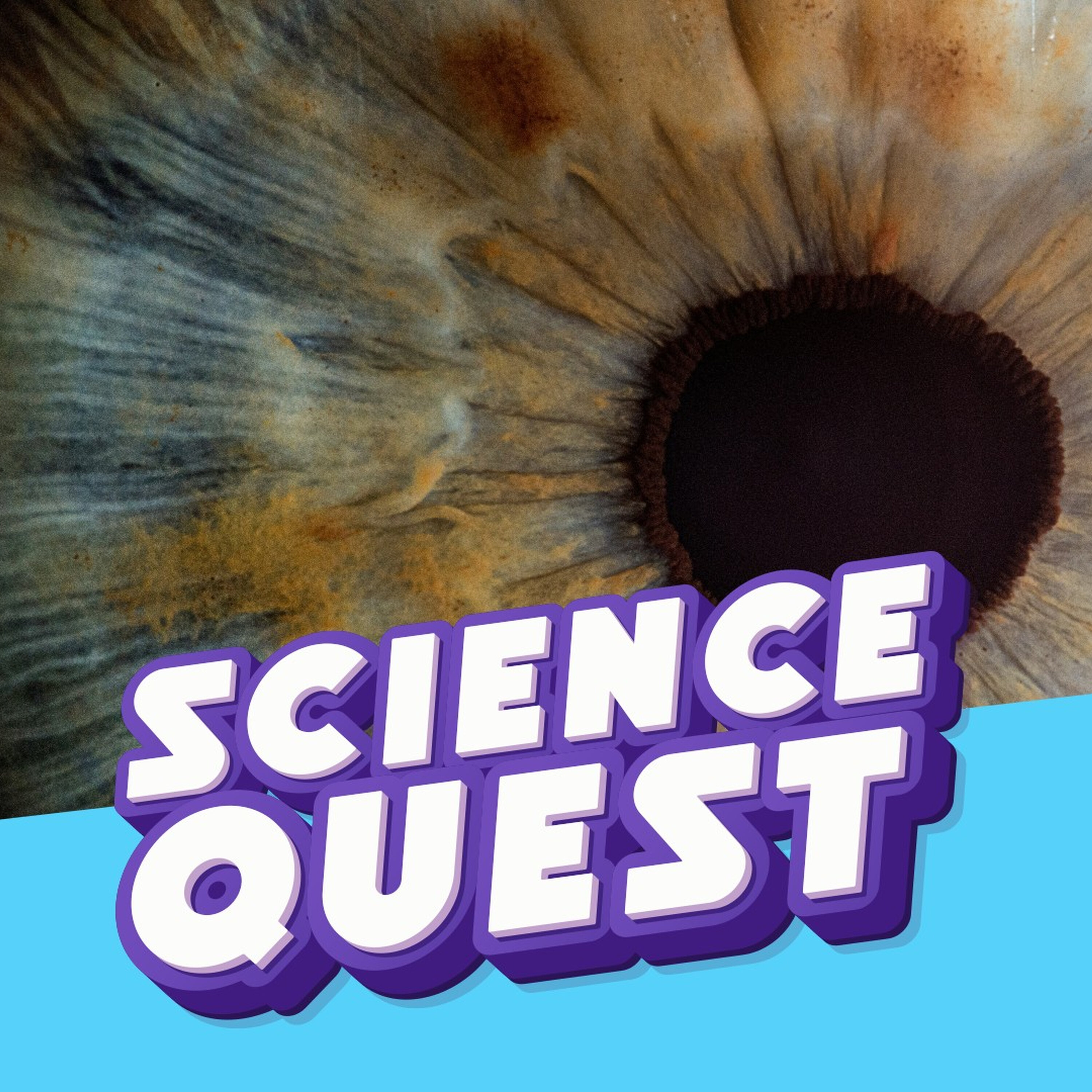 Why Doesn’t Our Nose Block What We See? episode artwork