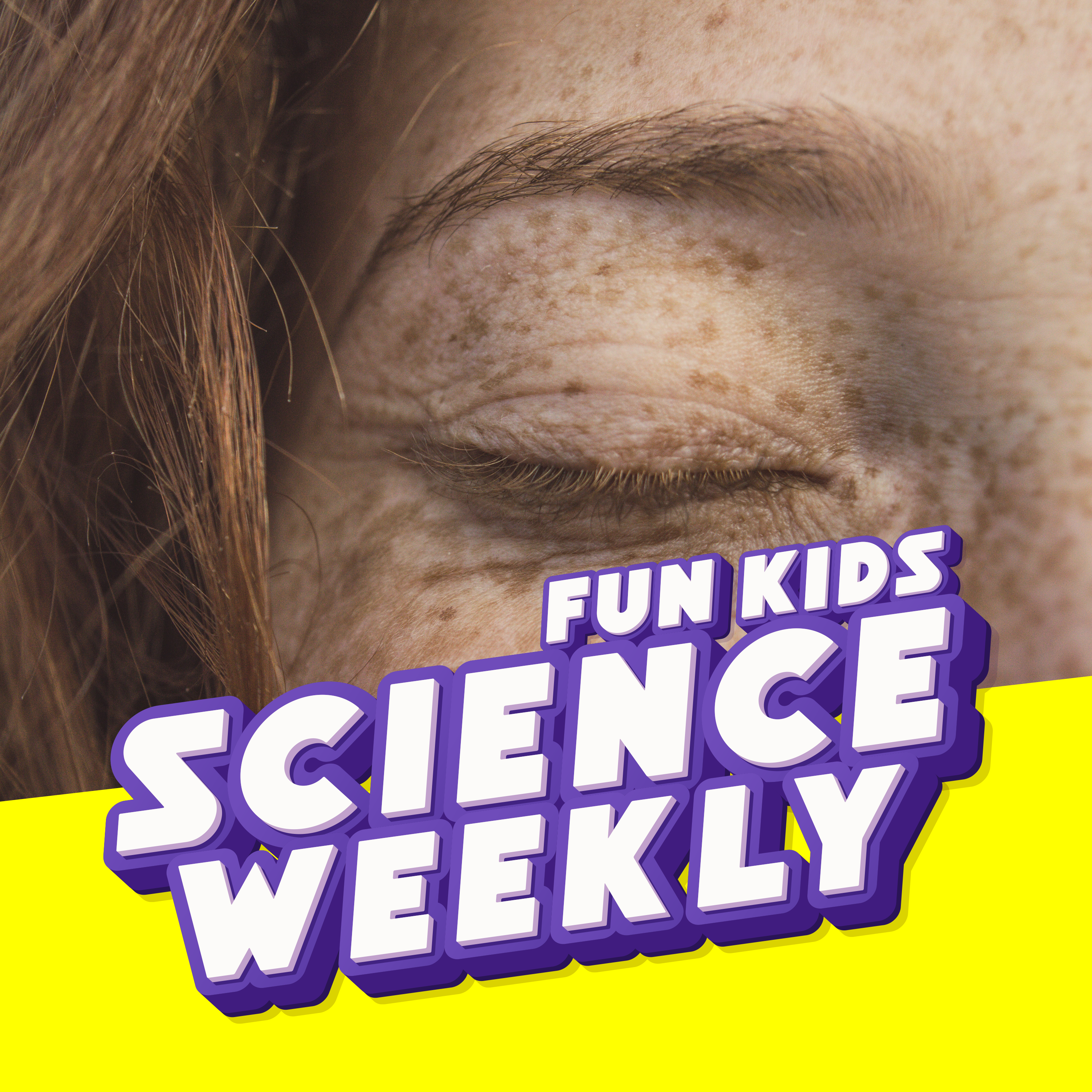 Fun Kids Science Quest