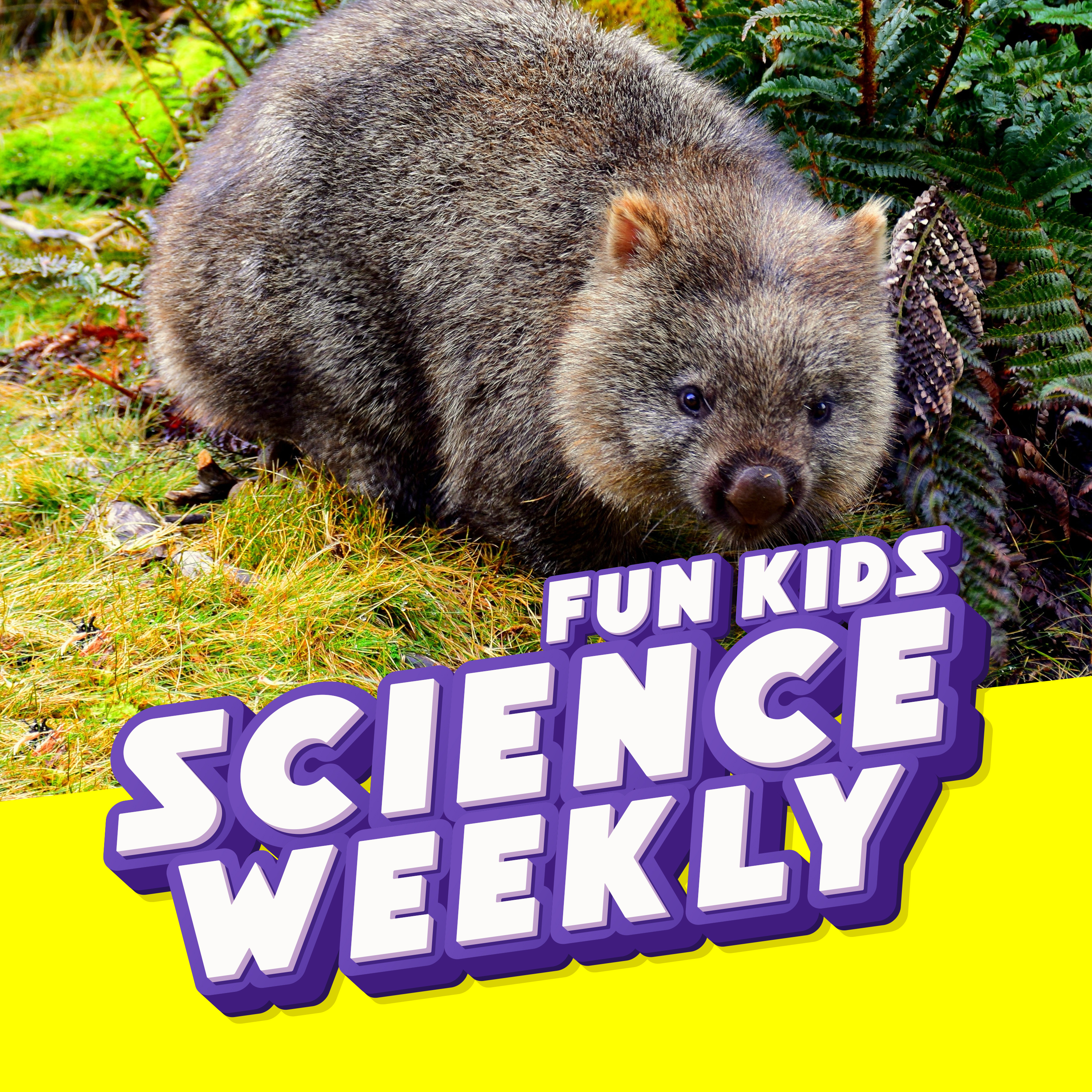 Fun Kids Science Quest