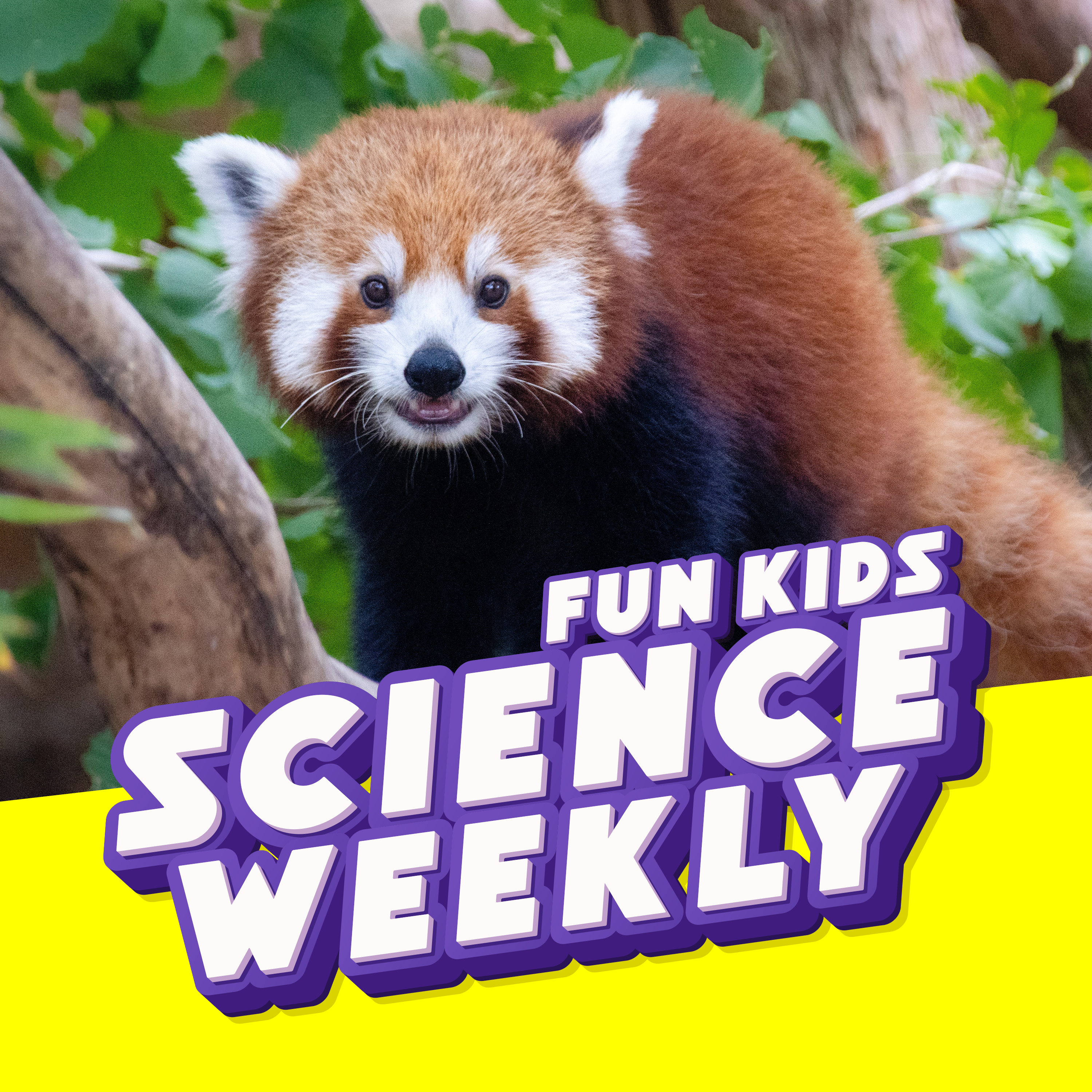 Fun Kids Science Quest